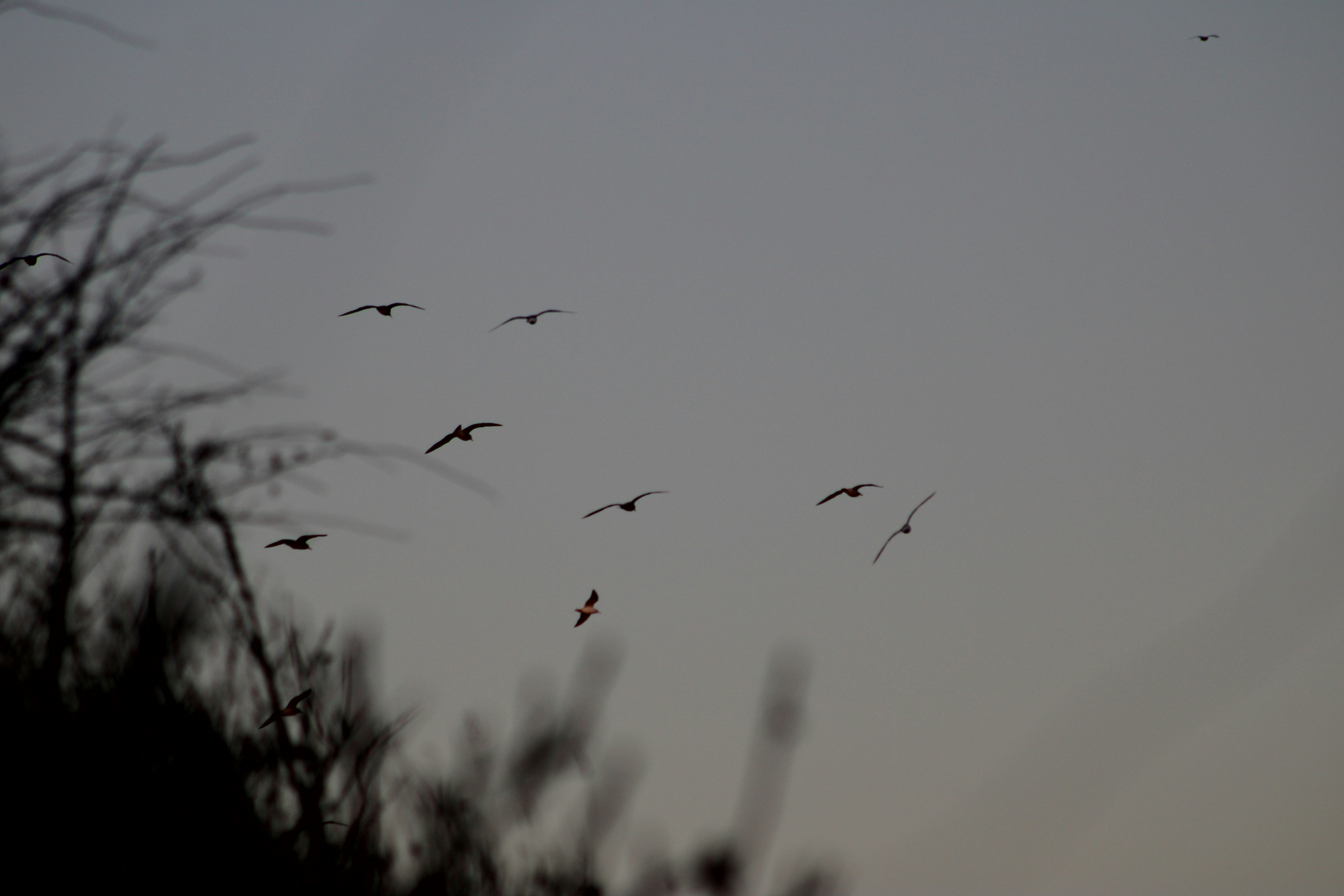 Photo by gemmagrahamphotography