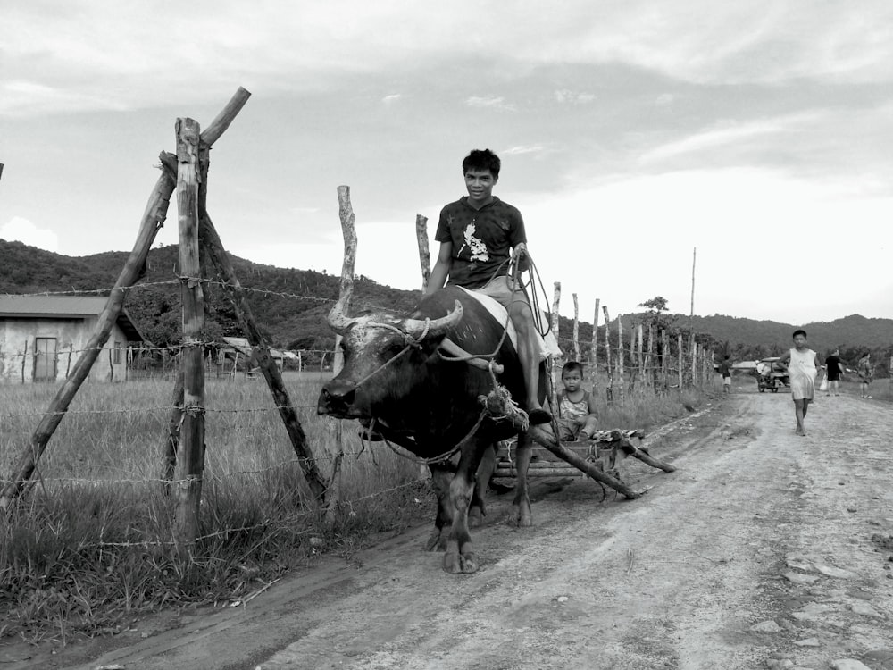 a man riding on the back of a cow down a dirt road