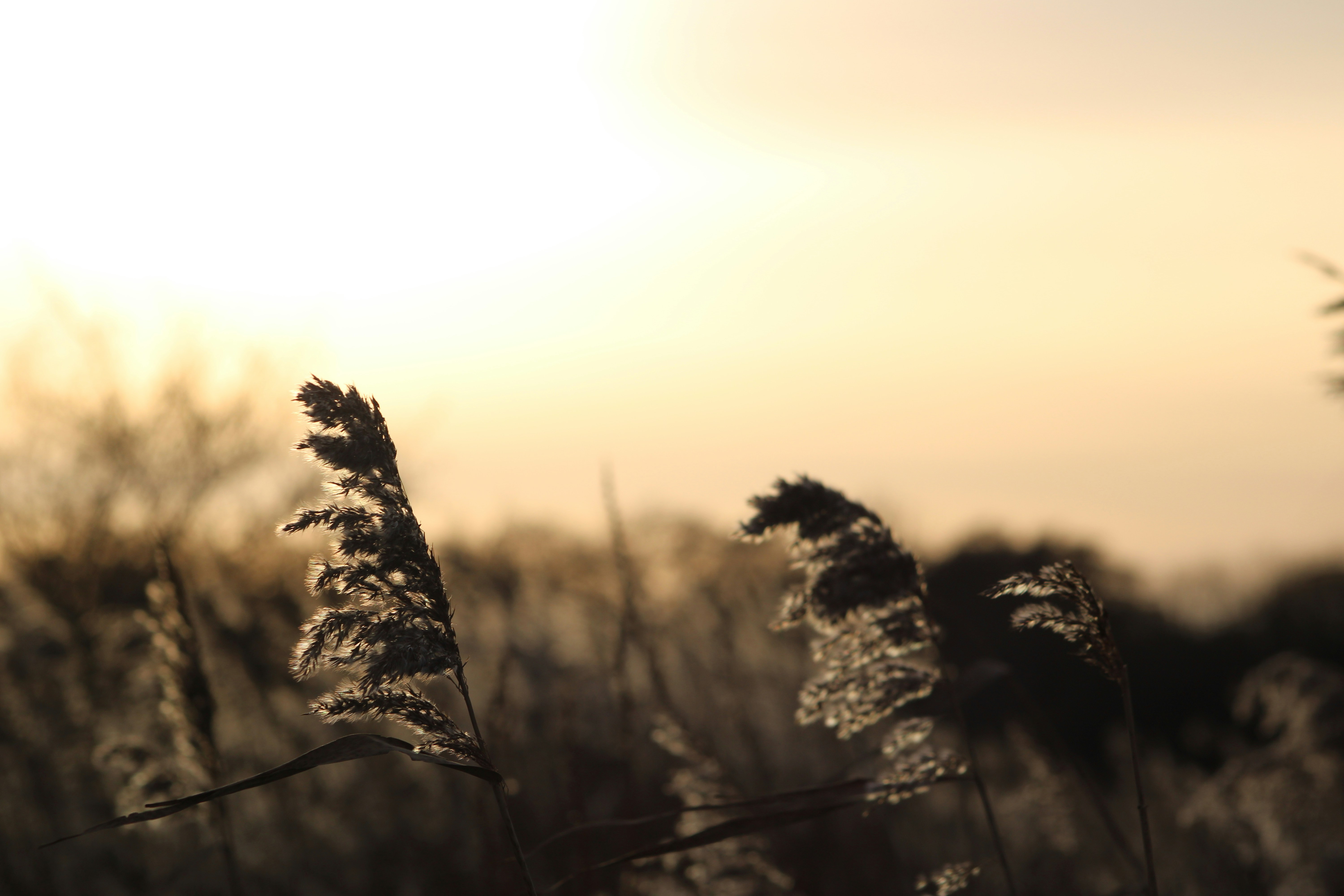 Photo by gemmagrahamphotography