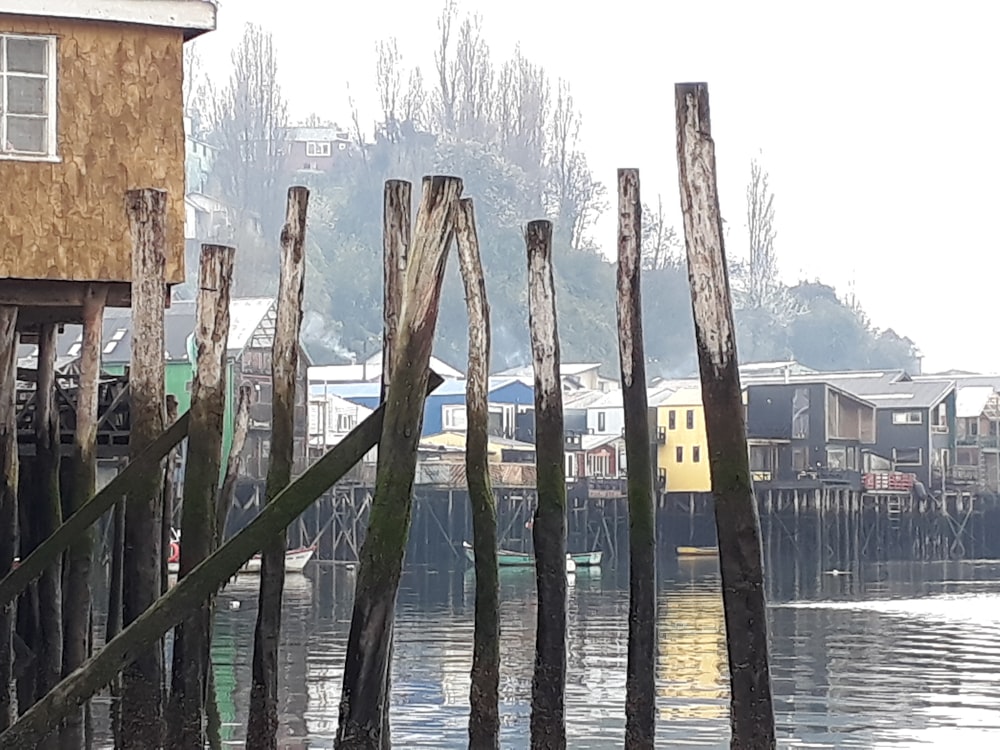 a body of water with a bunch of wooden poles sticking out of it