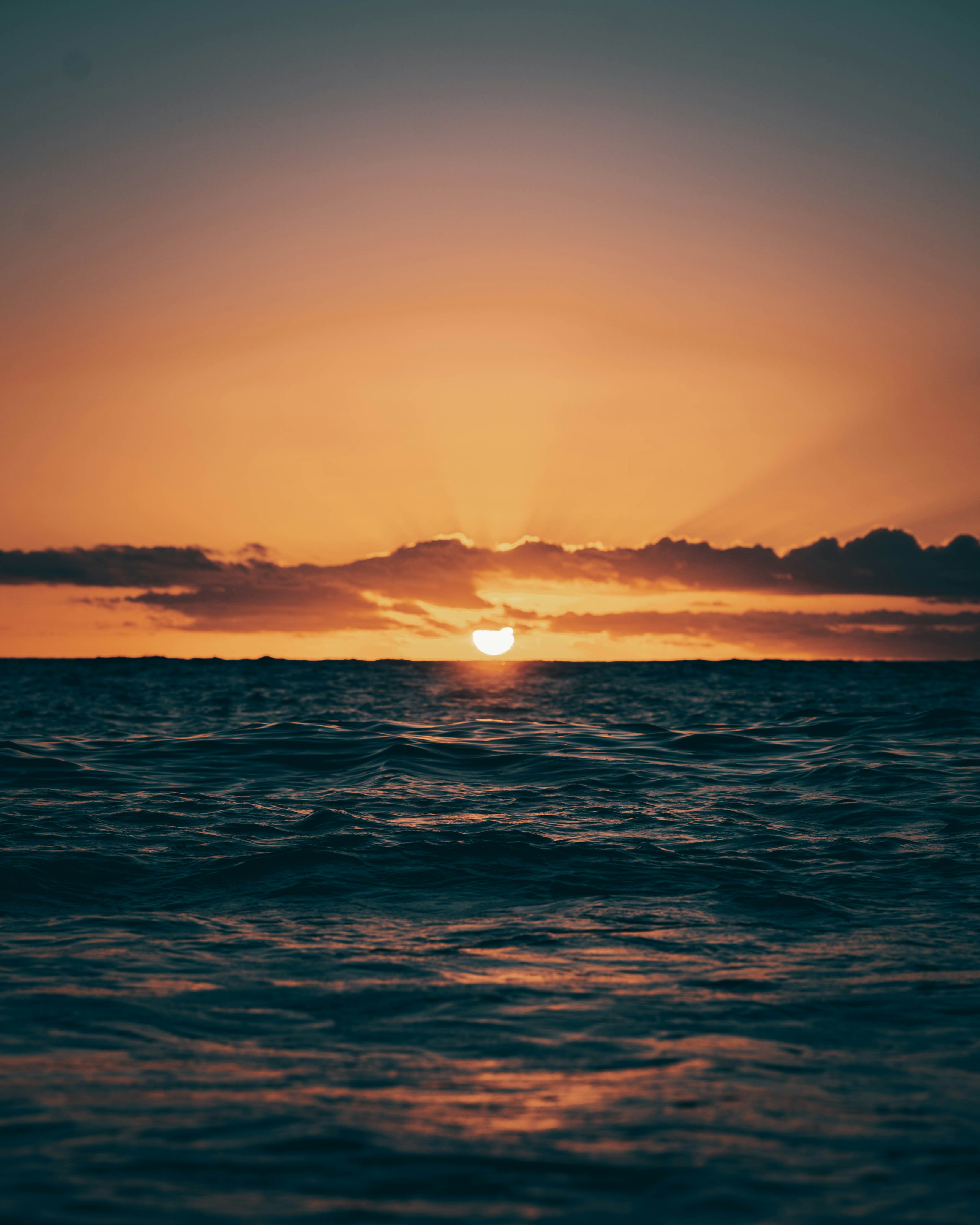 Photo by omgitsyeshi