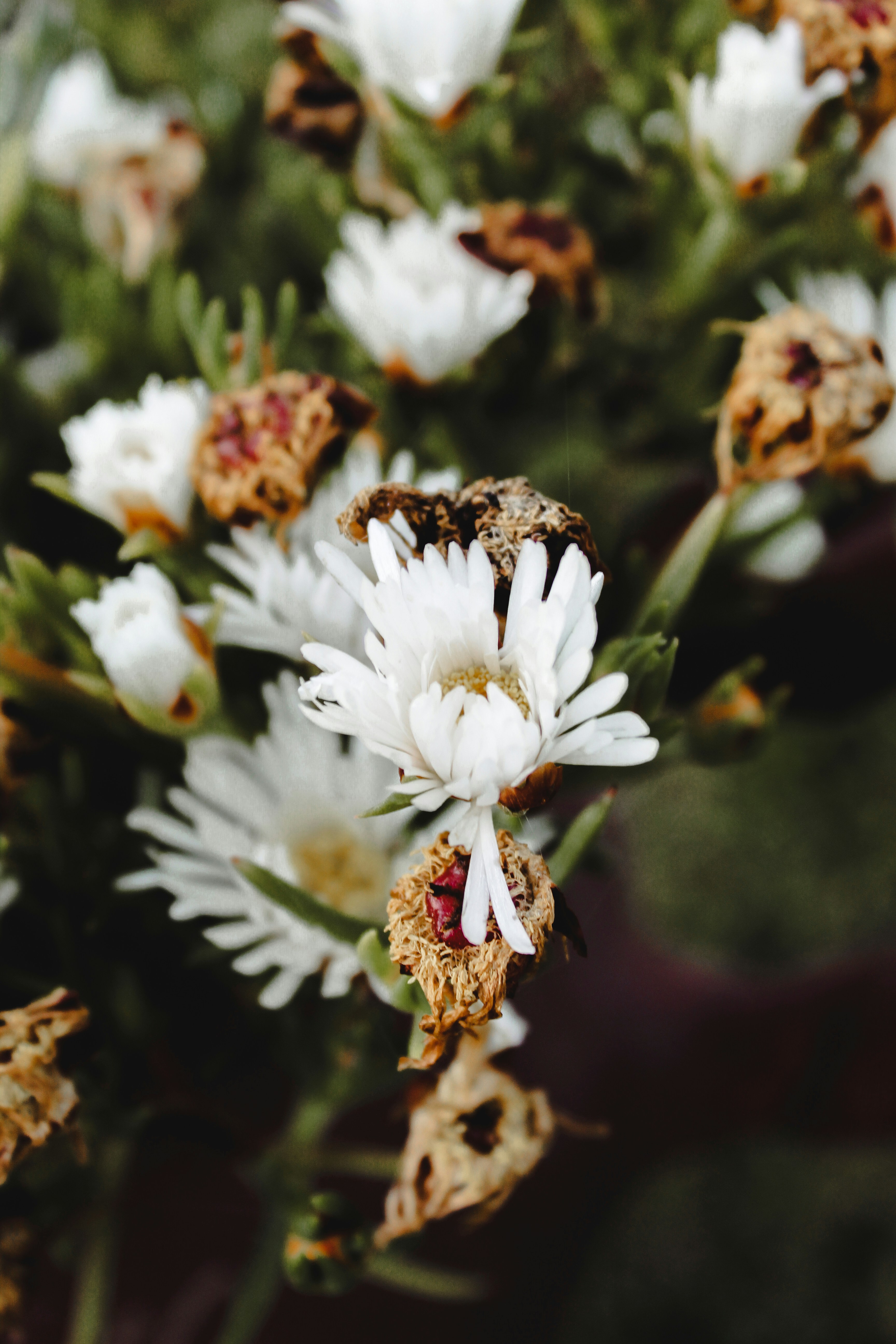 Photo by patric_arav