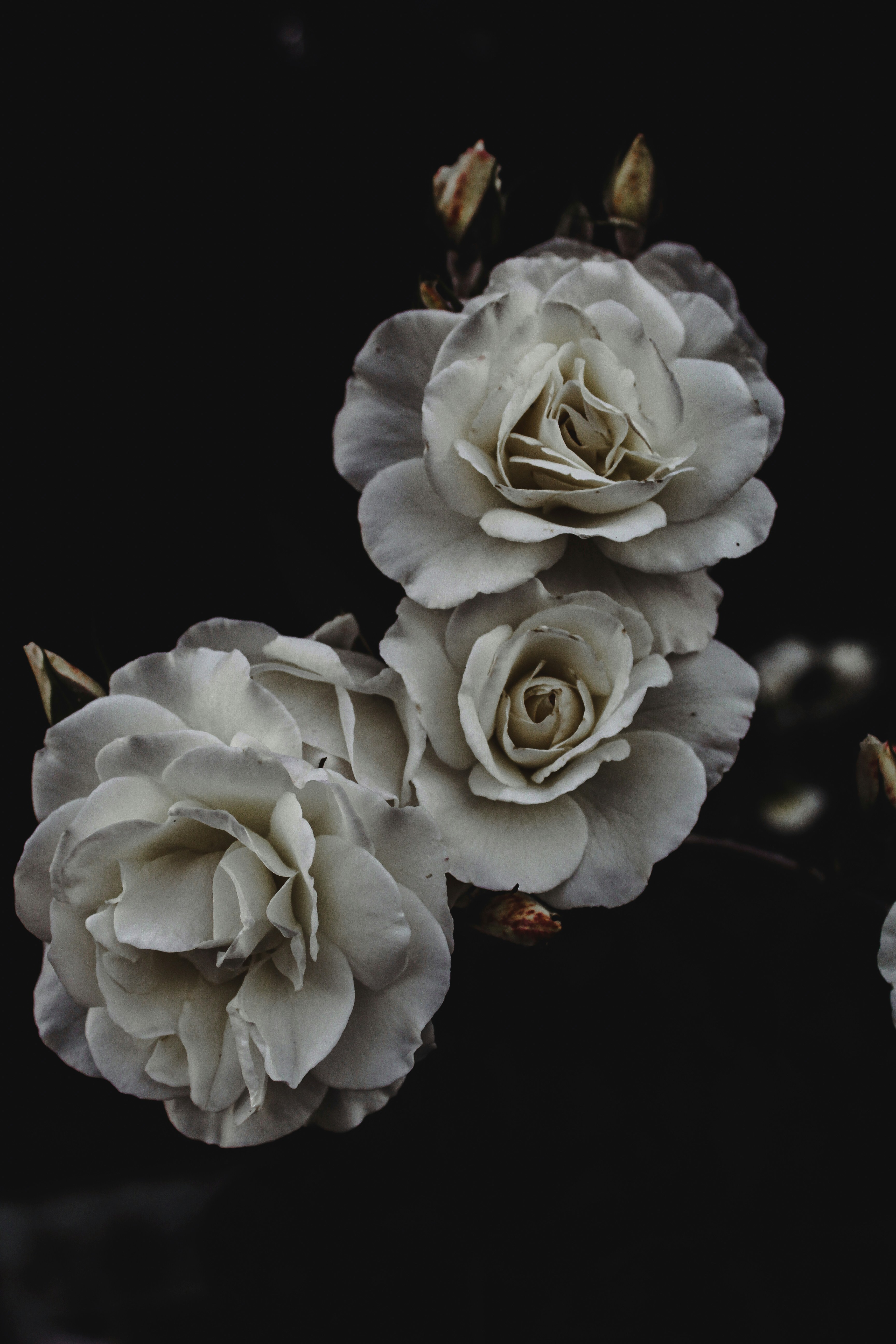 Photo by patric_arav