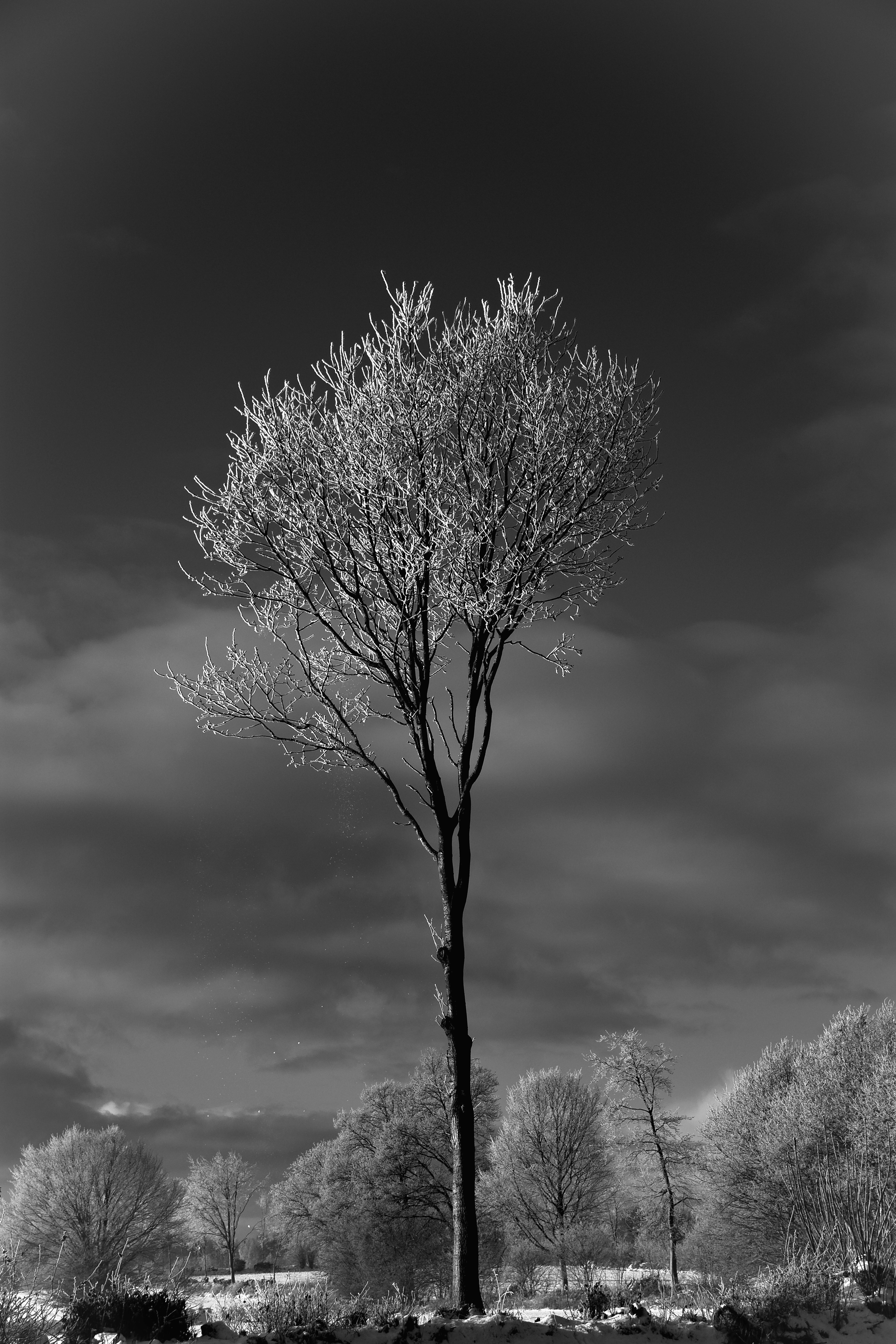 Photo by reinhard_heins