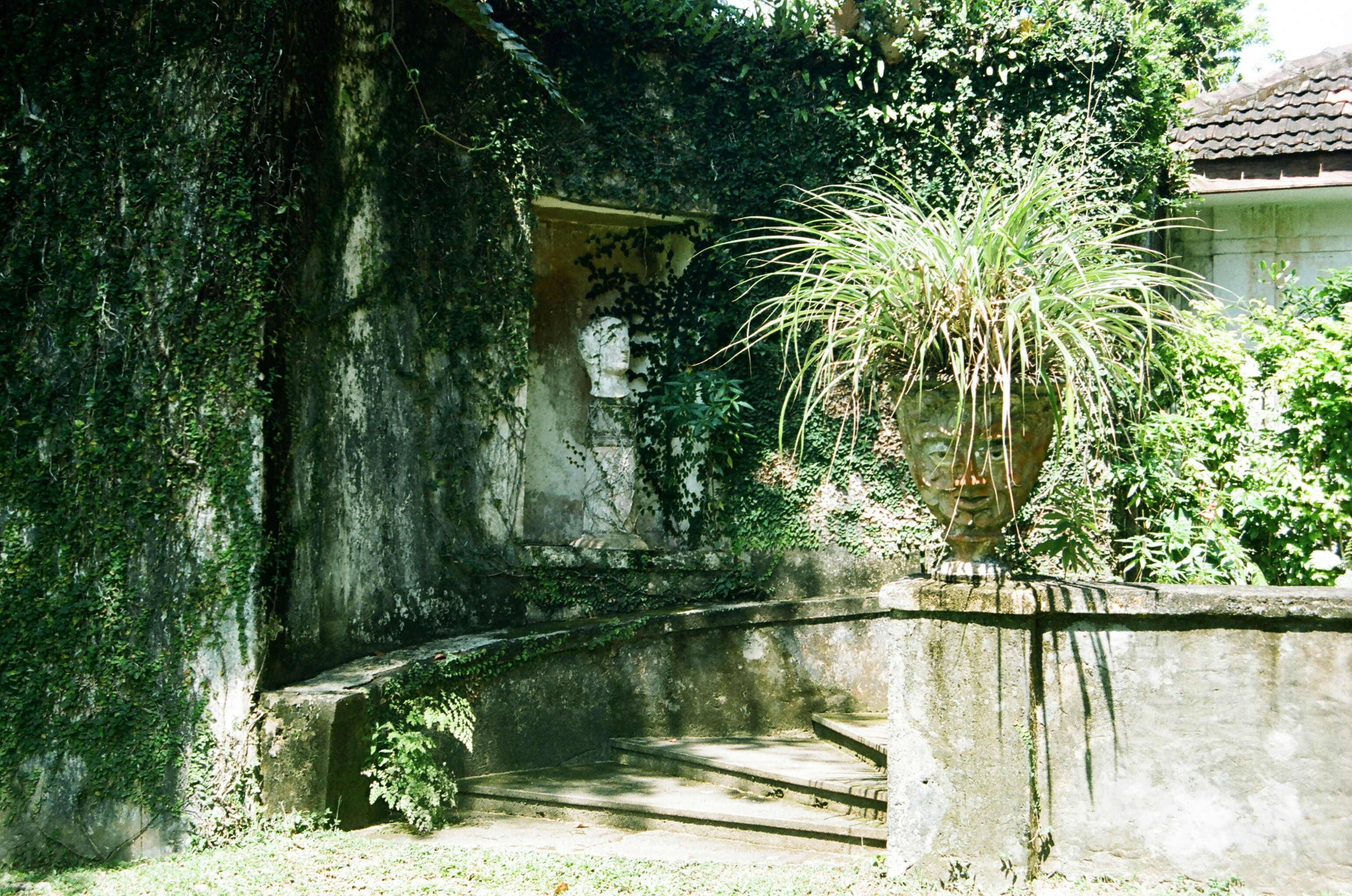 a stone wall with a potted plant next to it