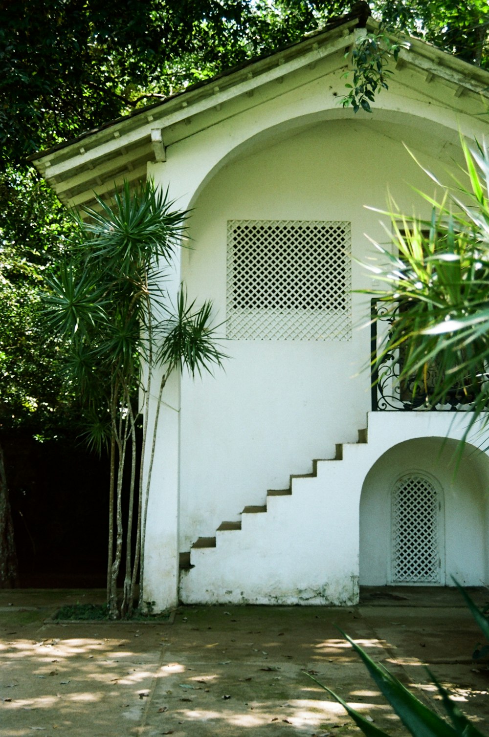 a white building with a tree in front of it