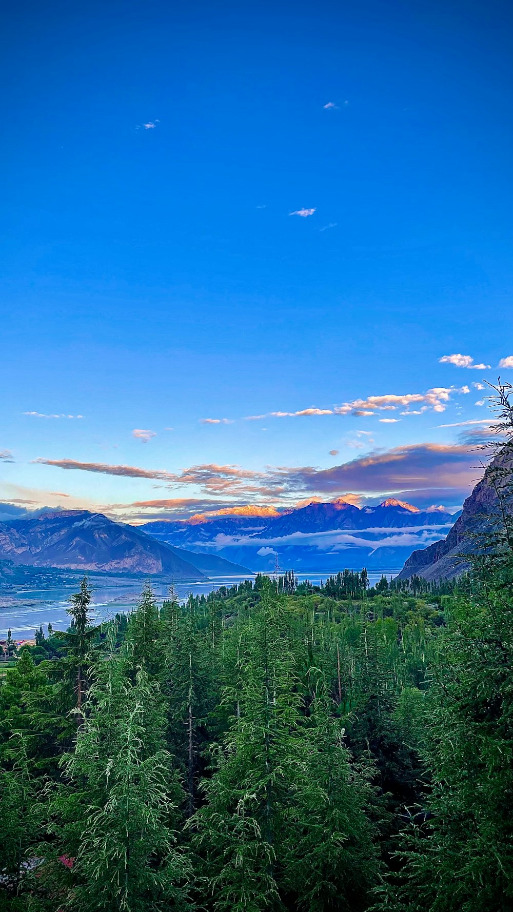 Una vista panorámica de un bosque con montañas al fondo