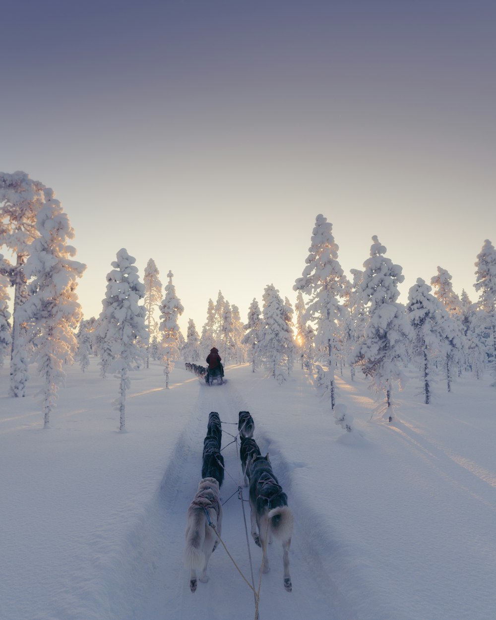 a person riding a sled down a snow covered slope