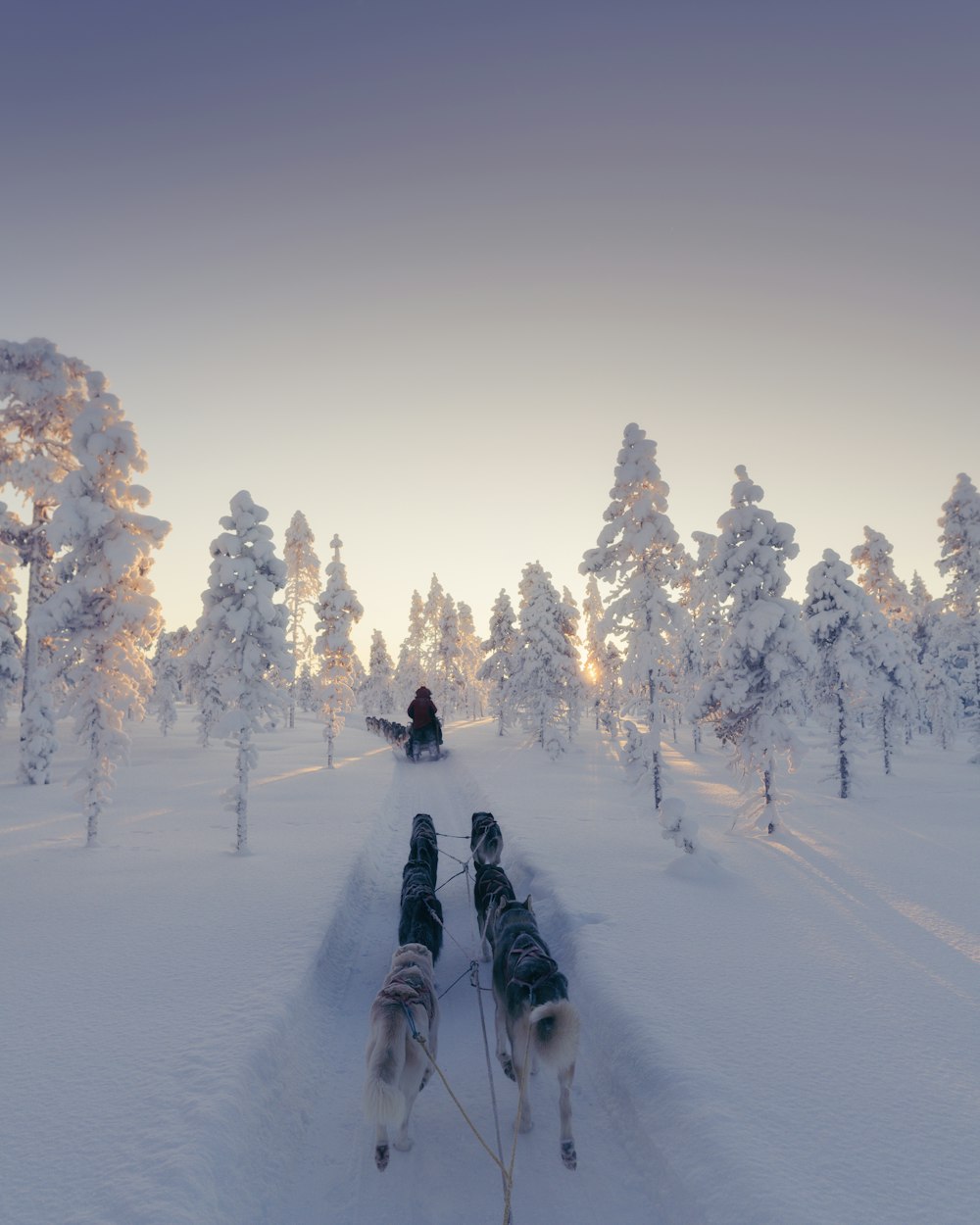 una persona montando un trineo por una pendiente cubierta de nieve