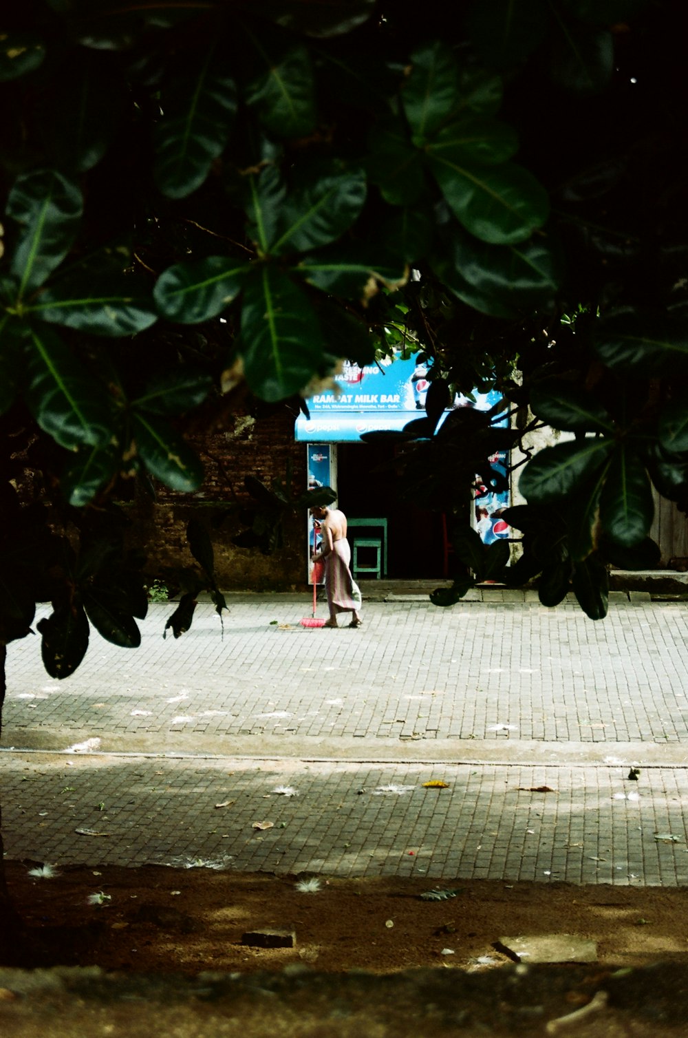 a man riding a skateboard down a street next to a tree