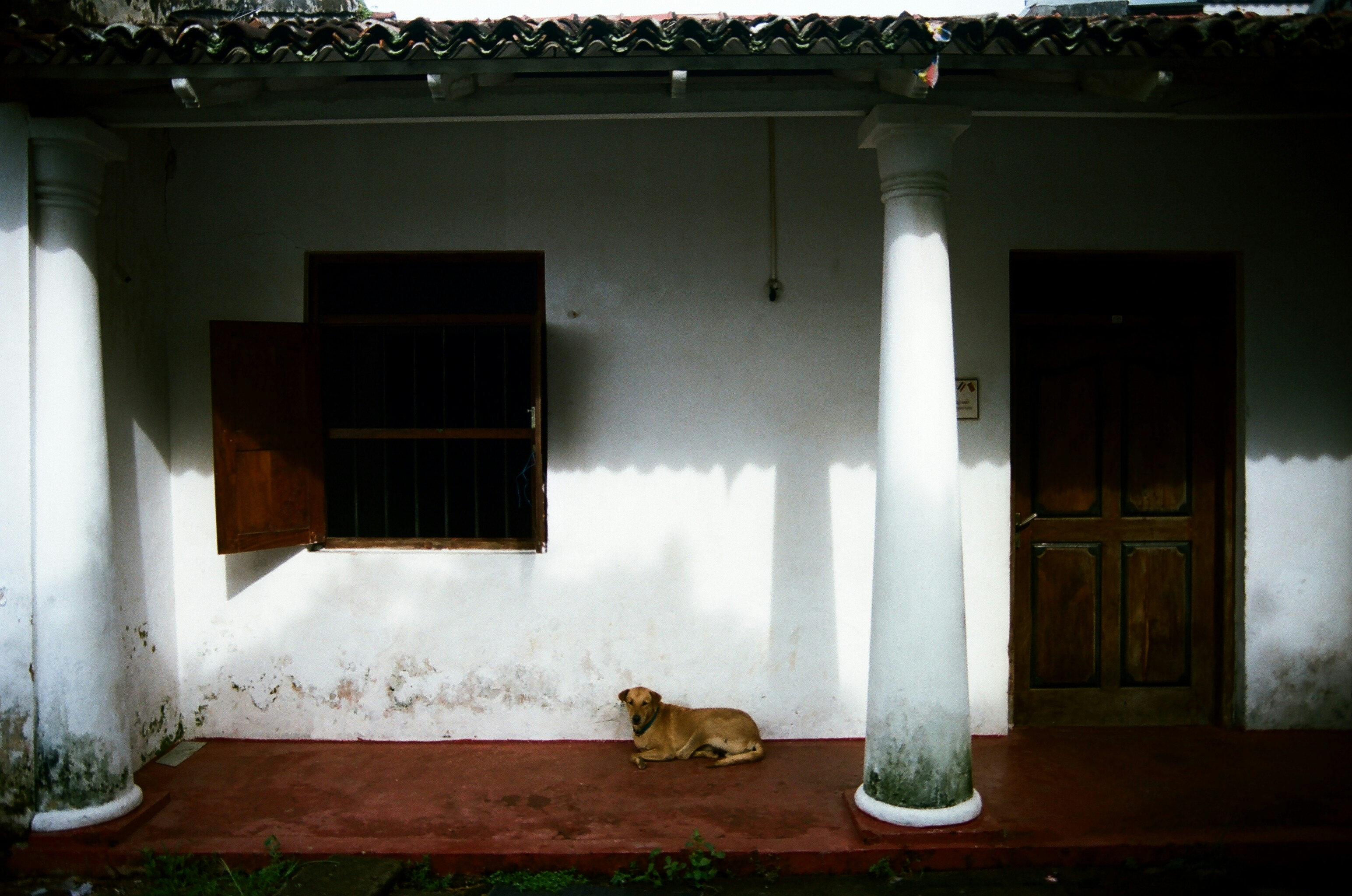 MBELI VETERINARY SERVICE AND MEDICAL TREATMENT