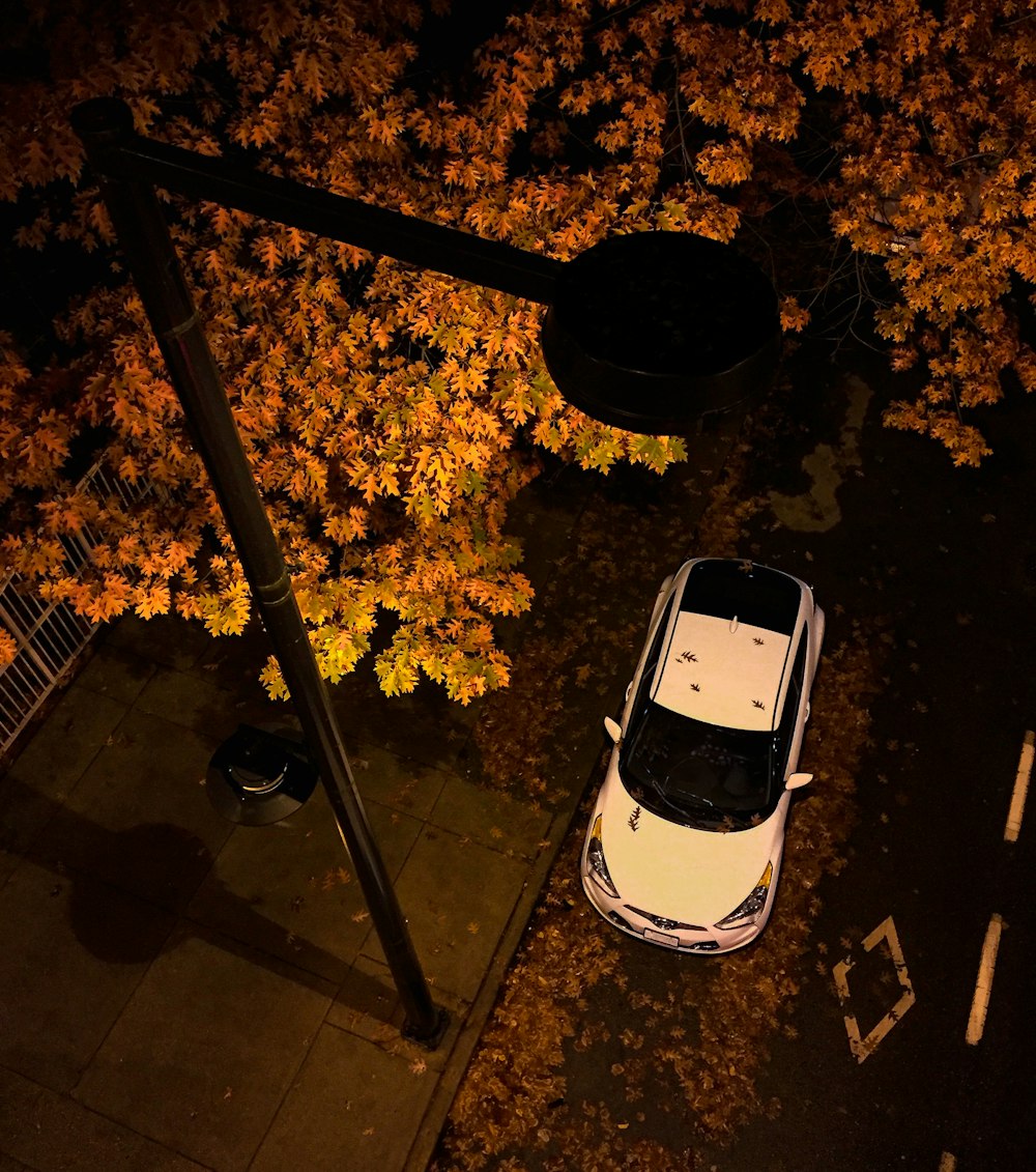 a white car parked on the side of a road