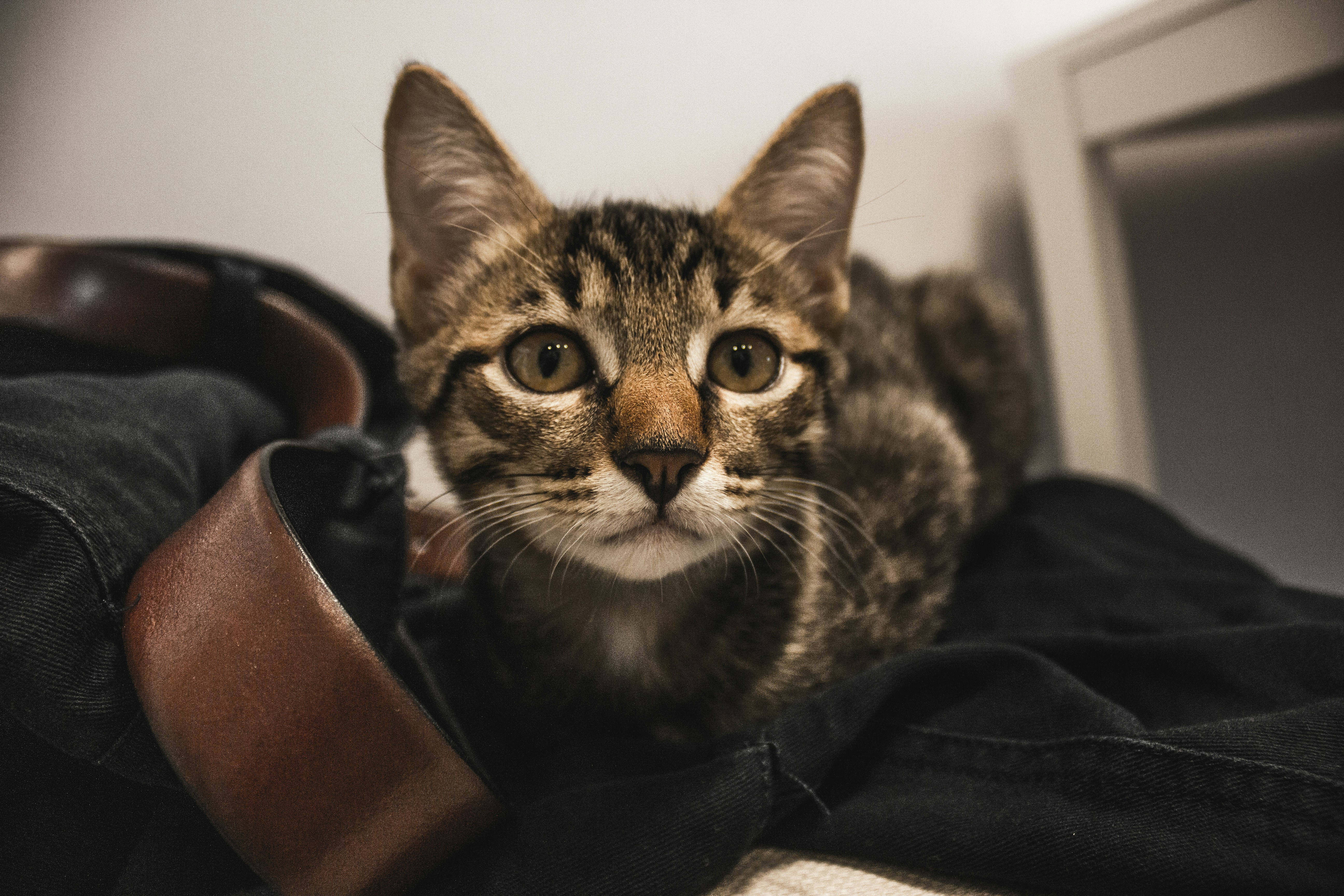 Photo by aloha_photopark