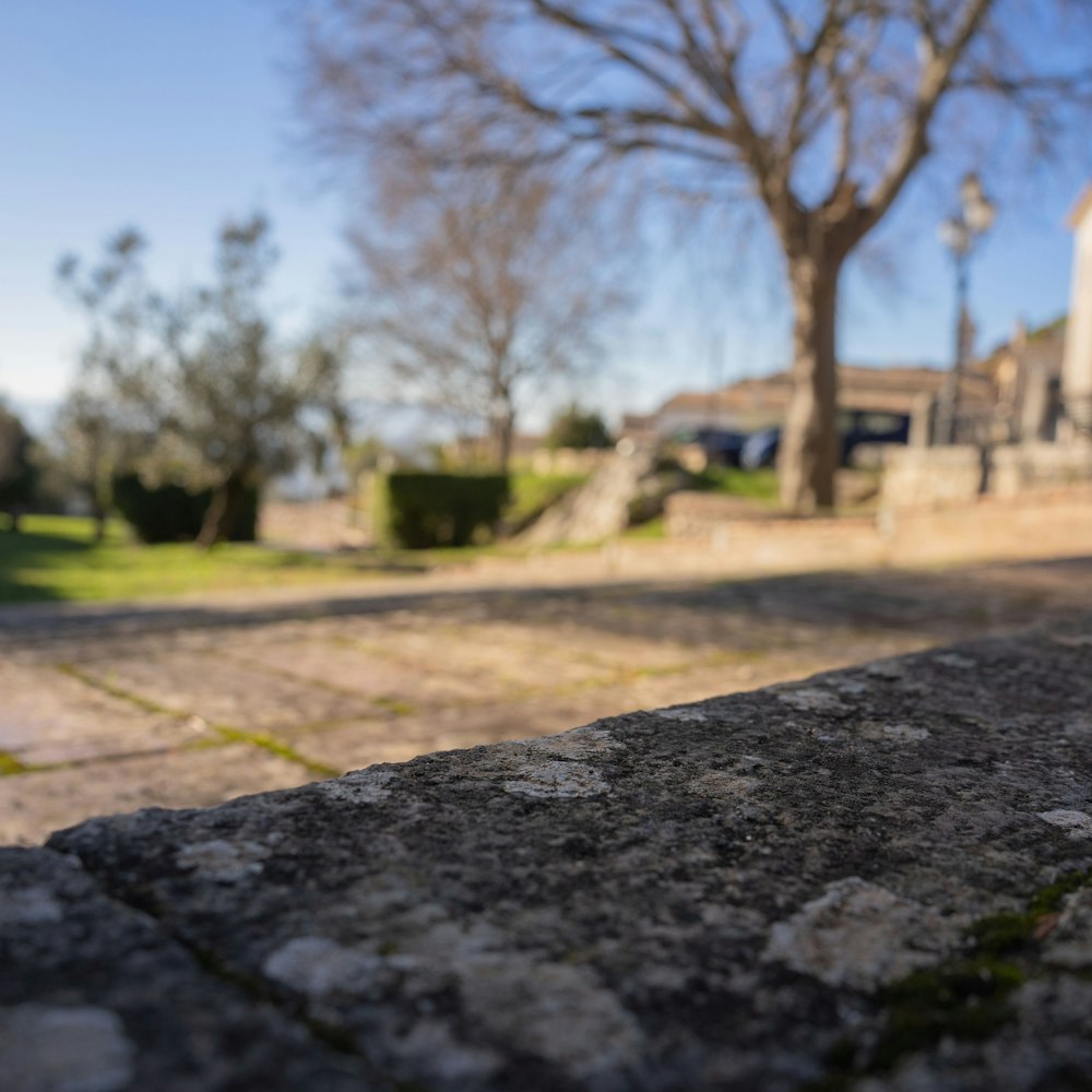 a close up of a stone wall with a tree in the background