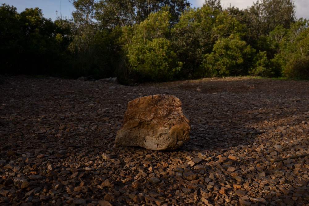 a large rock sitting on top of a gravel field