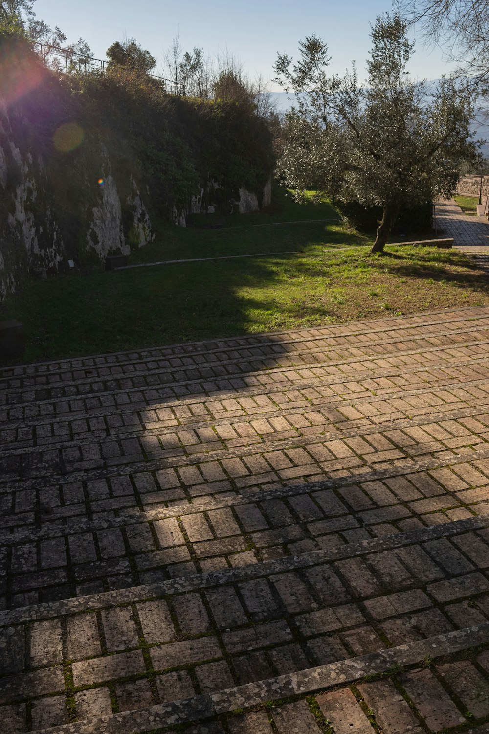 a brick walkway in a grassy area with trees in the background