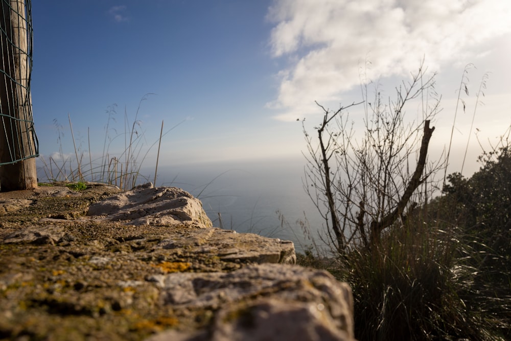 Una vista sull'oceano dalla cima di una collina