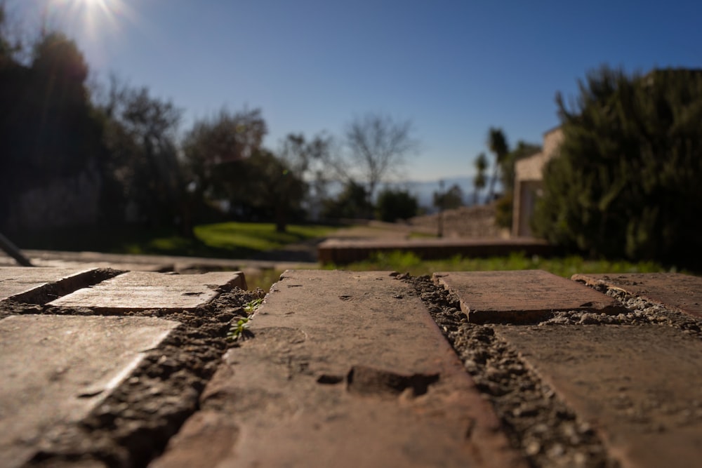 a close up of a brick walkway with trees in the background