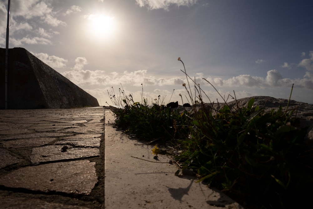 il sole splende sulla spiaggia e sull'erba