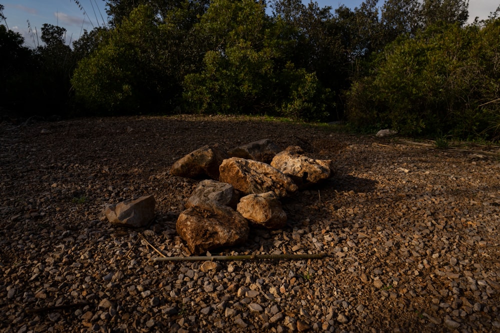 un mucchio di rocce seduto in cima a un campo di terra