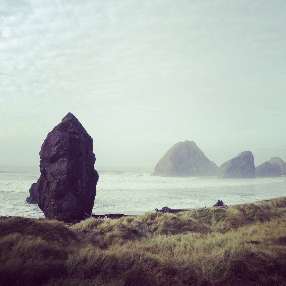 a large rock sitting on top of a lush green field