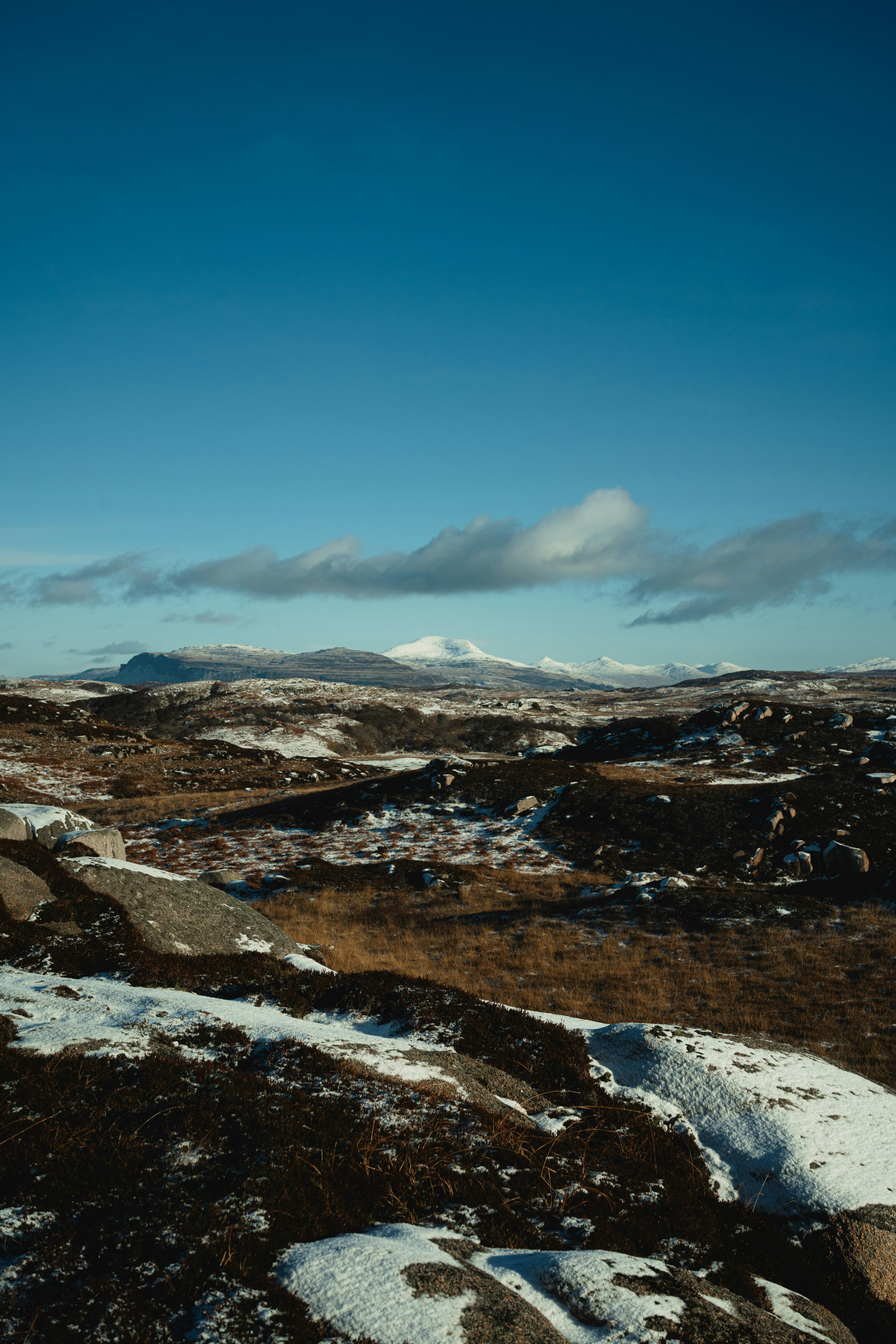 Photo by alexisnthere_