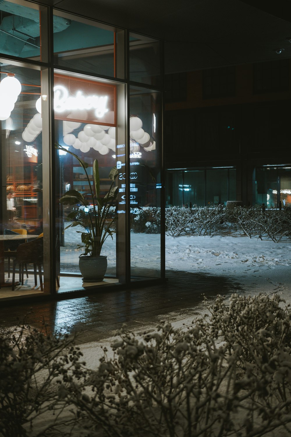 a plant in front of a building at night