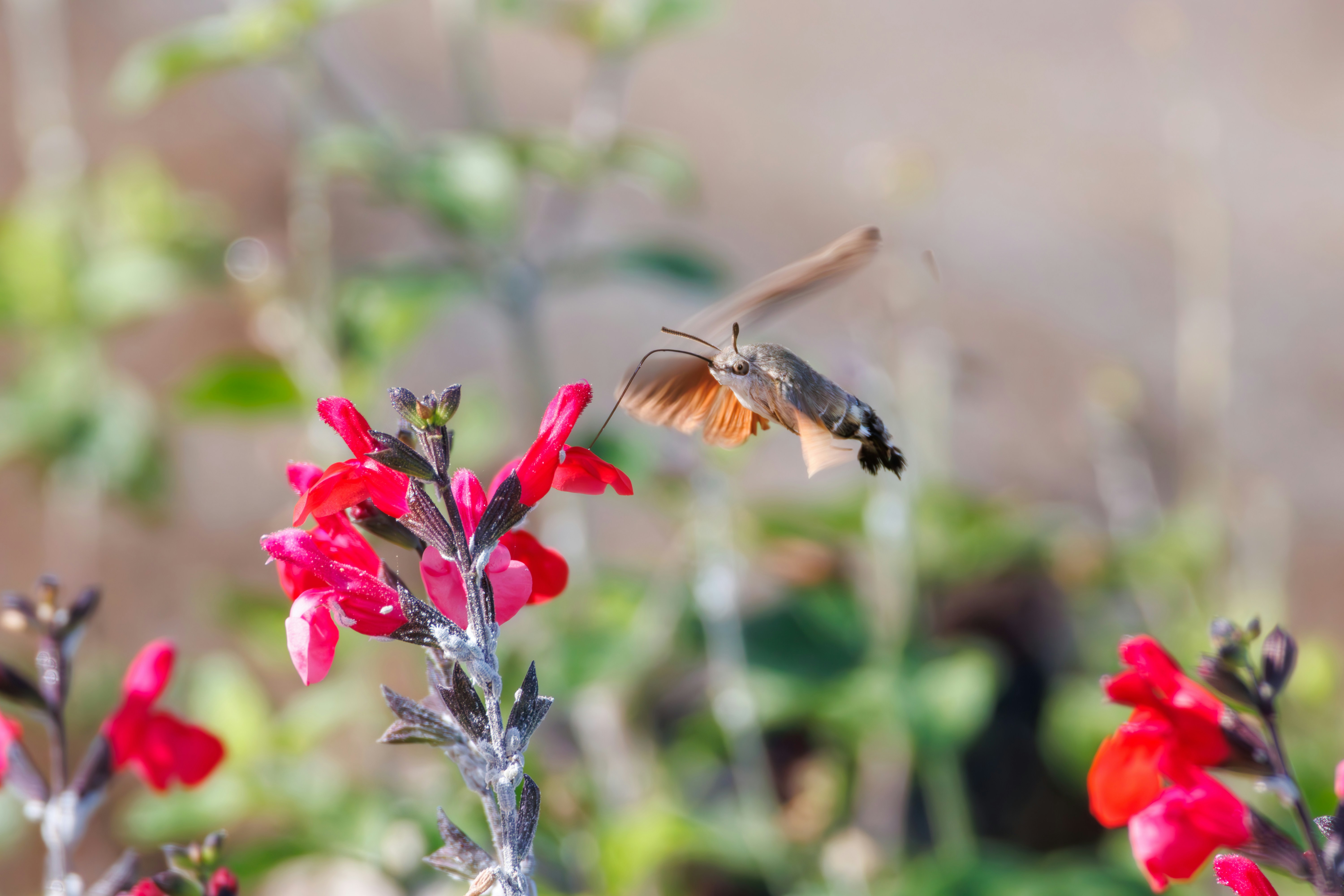 Photo by stockbirken