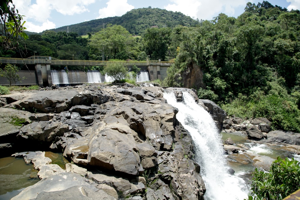 a large waterfall in the middle of a forest