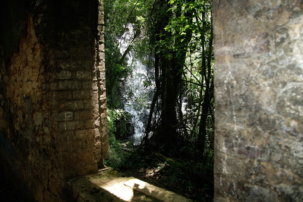 an open doorway leading to a small waterfall