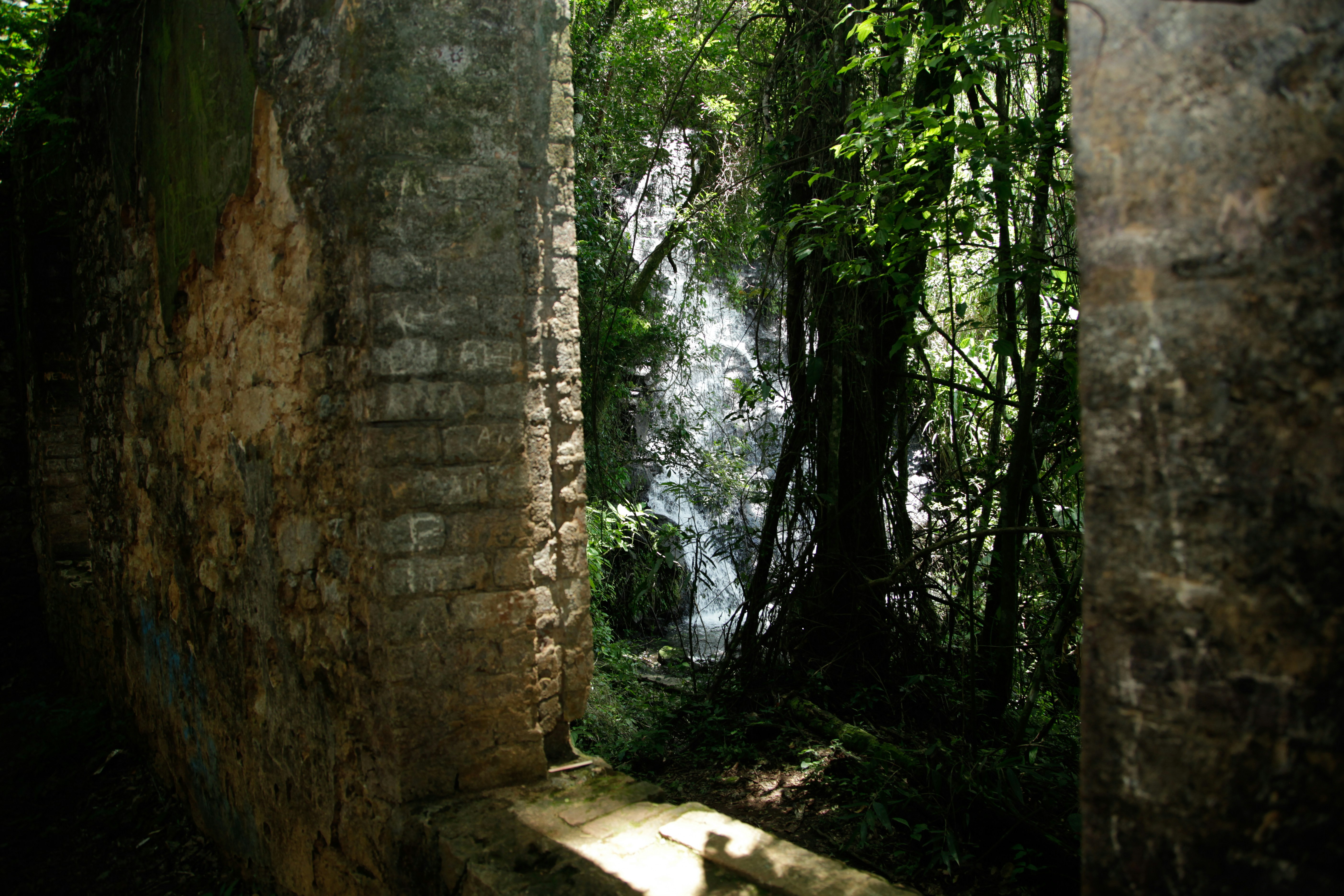 Photo by projetocafegatomourisco