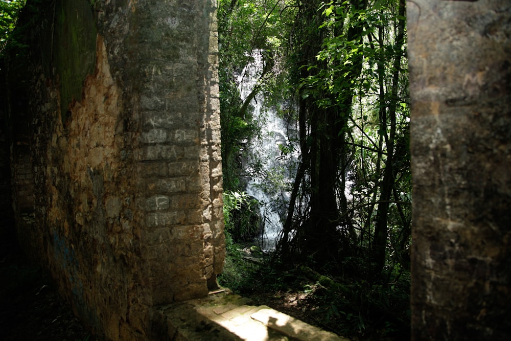 a doorway leading into a lush green forest