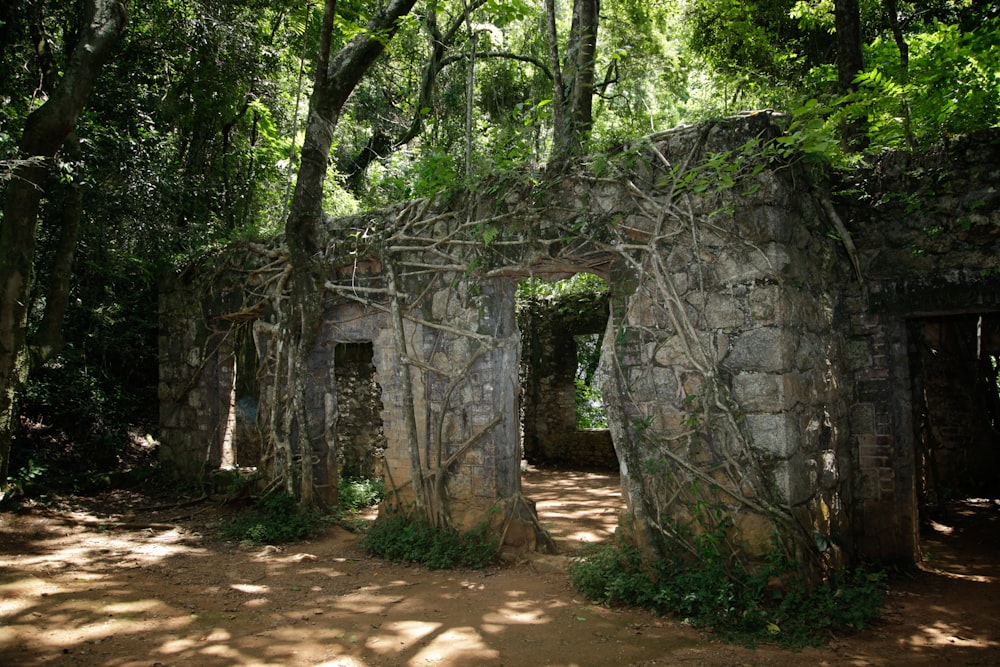 a stone structure with vines growing over it