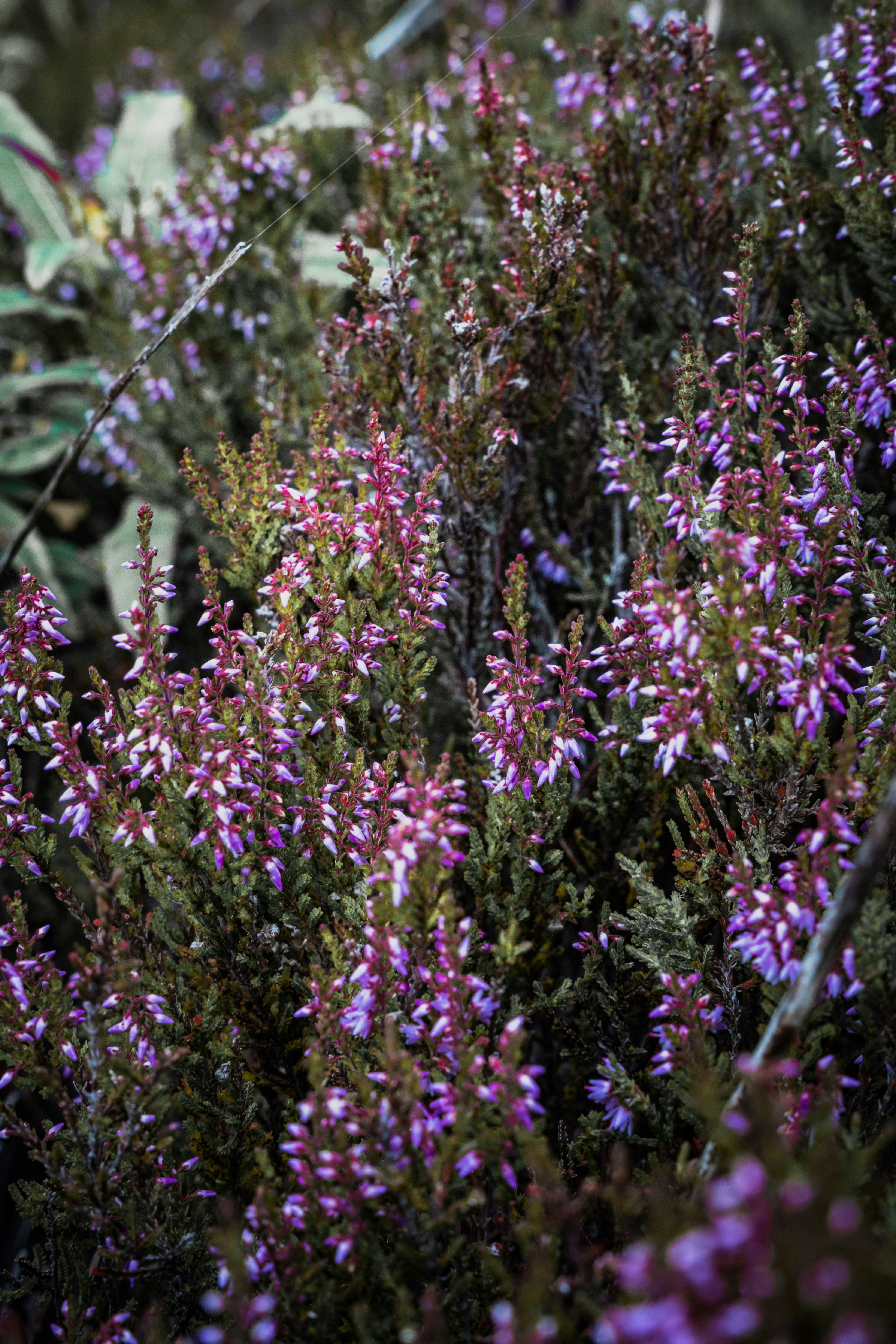 Photo by winstontjia