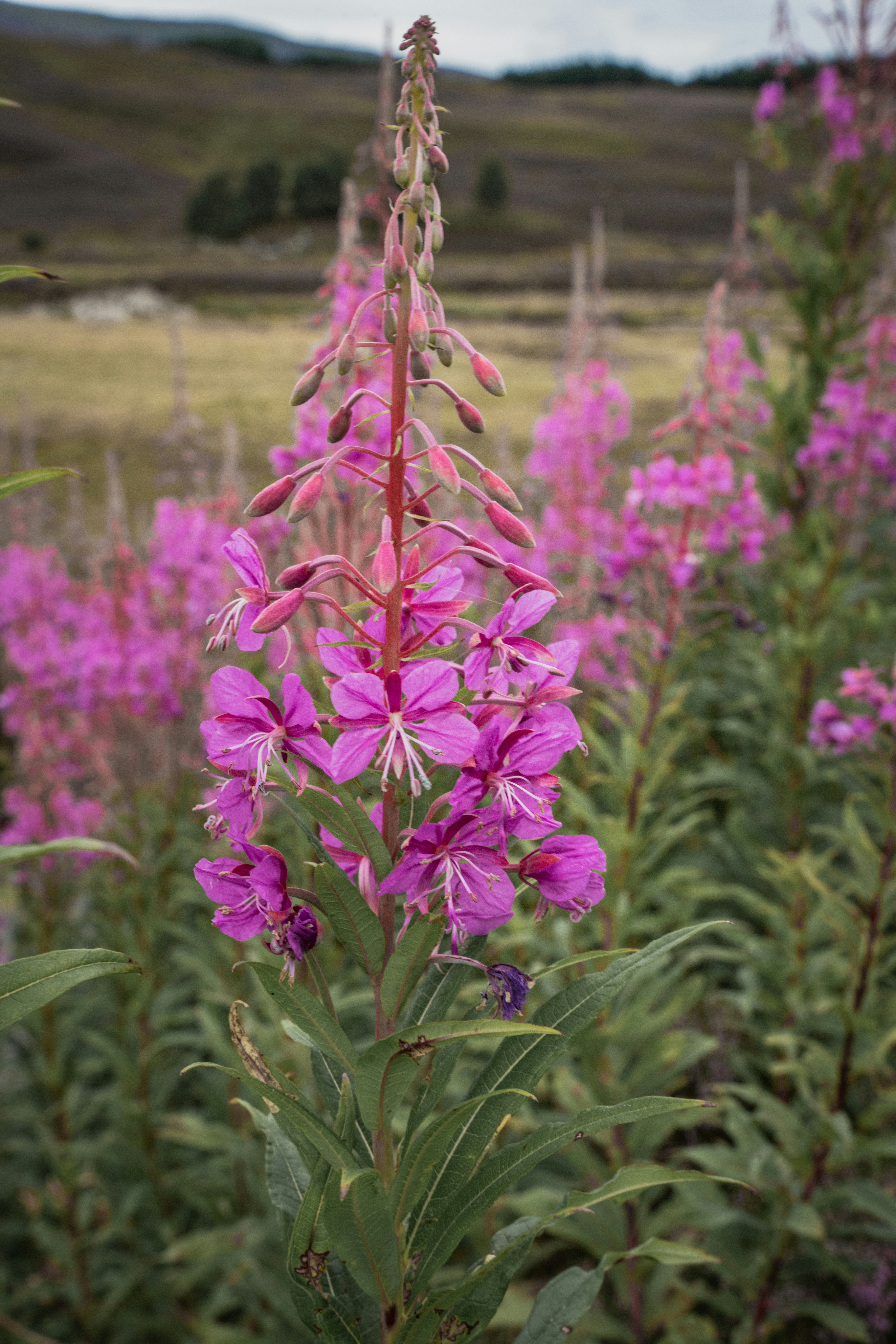 Photo by winstontjia