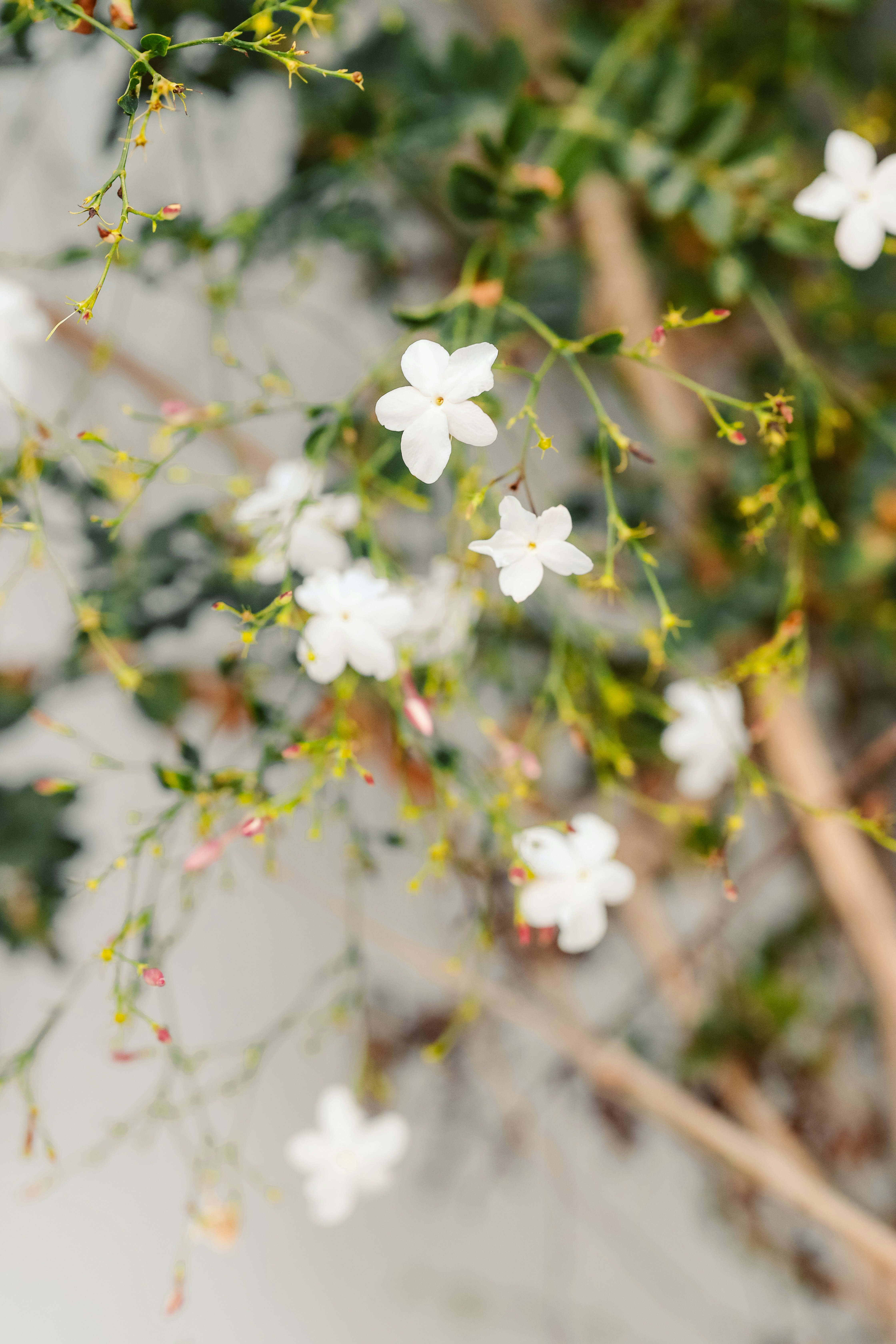 Photo by himo_beast1996