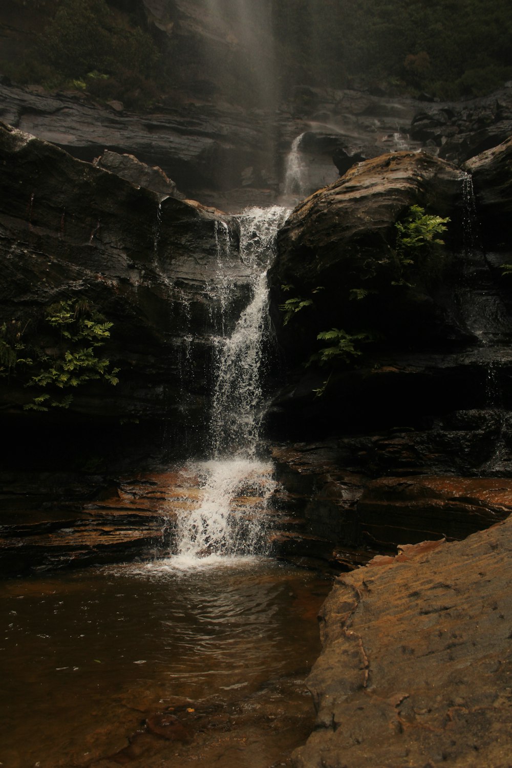 a small waterfall in the middle of a forest