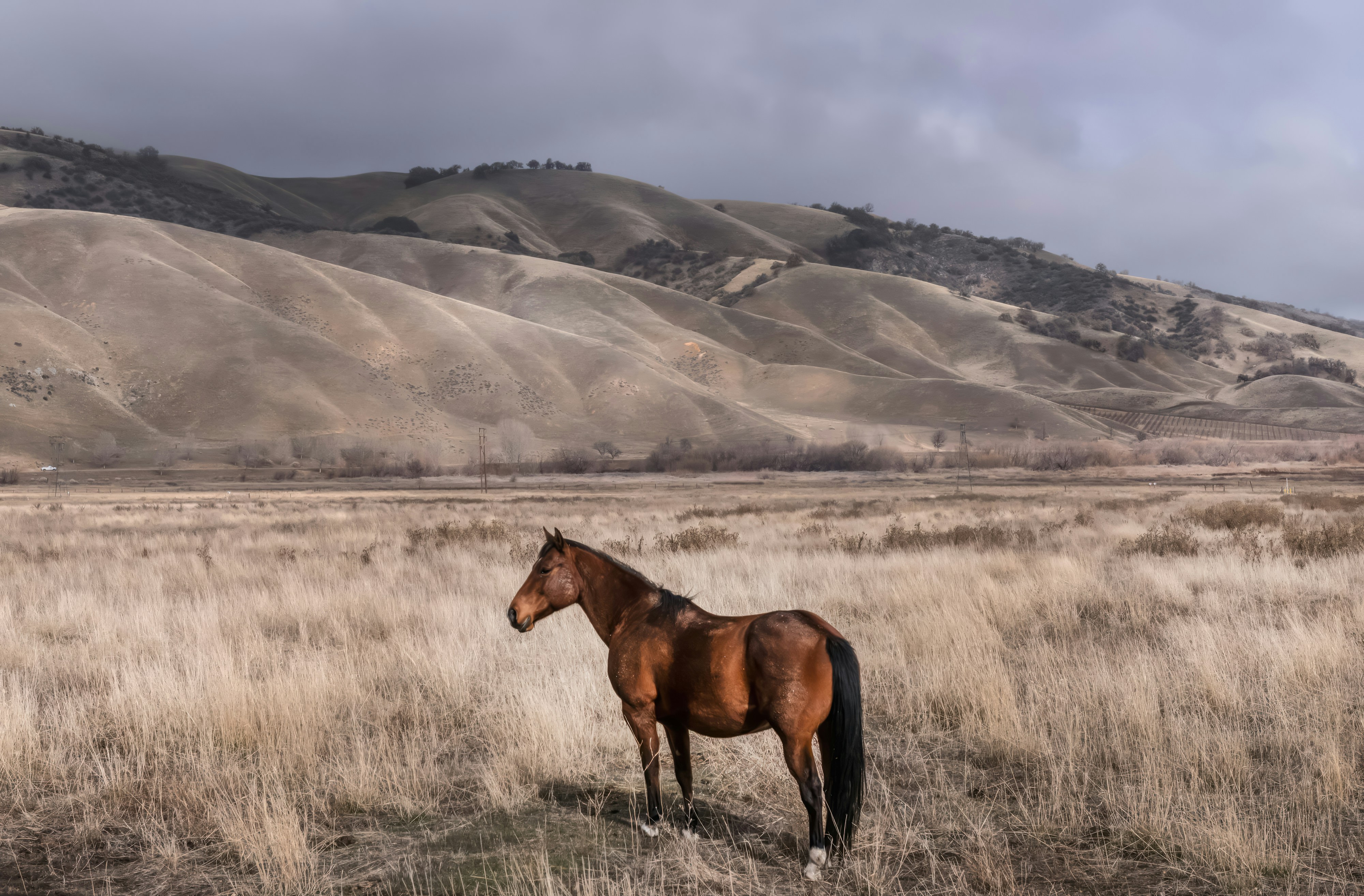 Photo by carolhighsmith