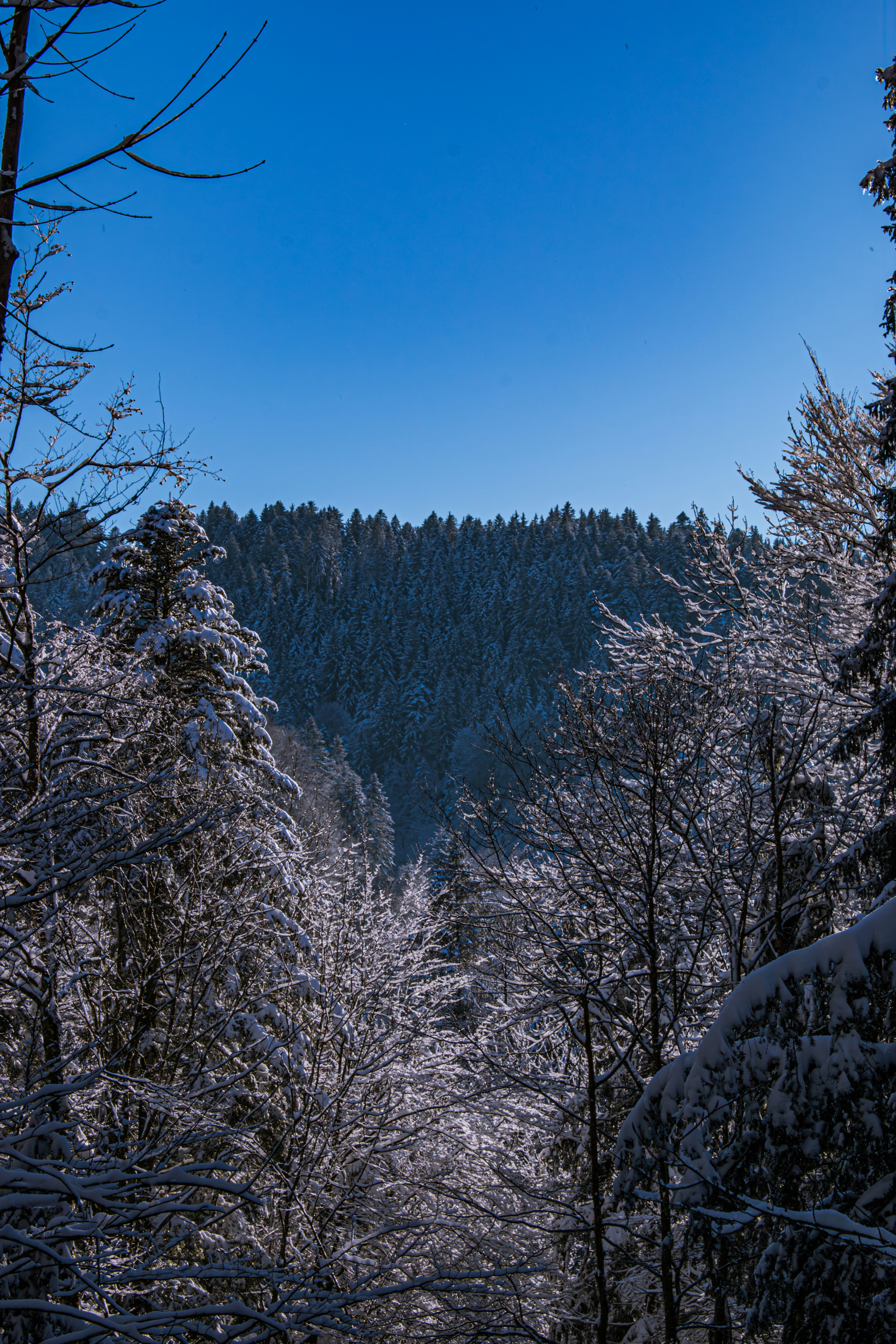 Photo by oconnorstudios