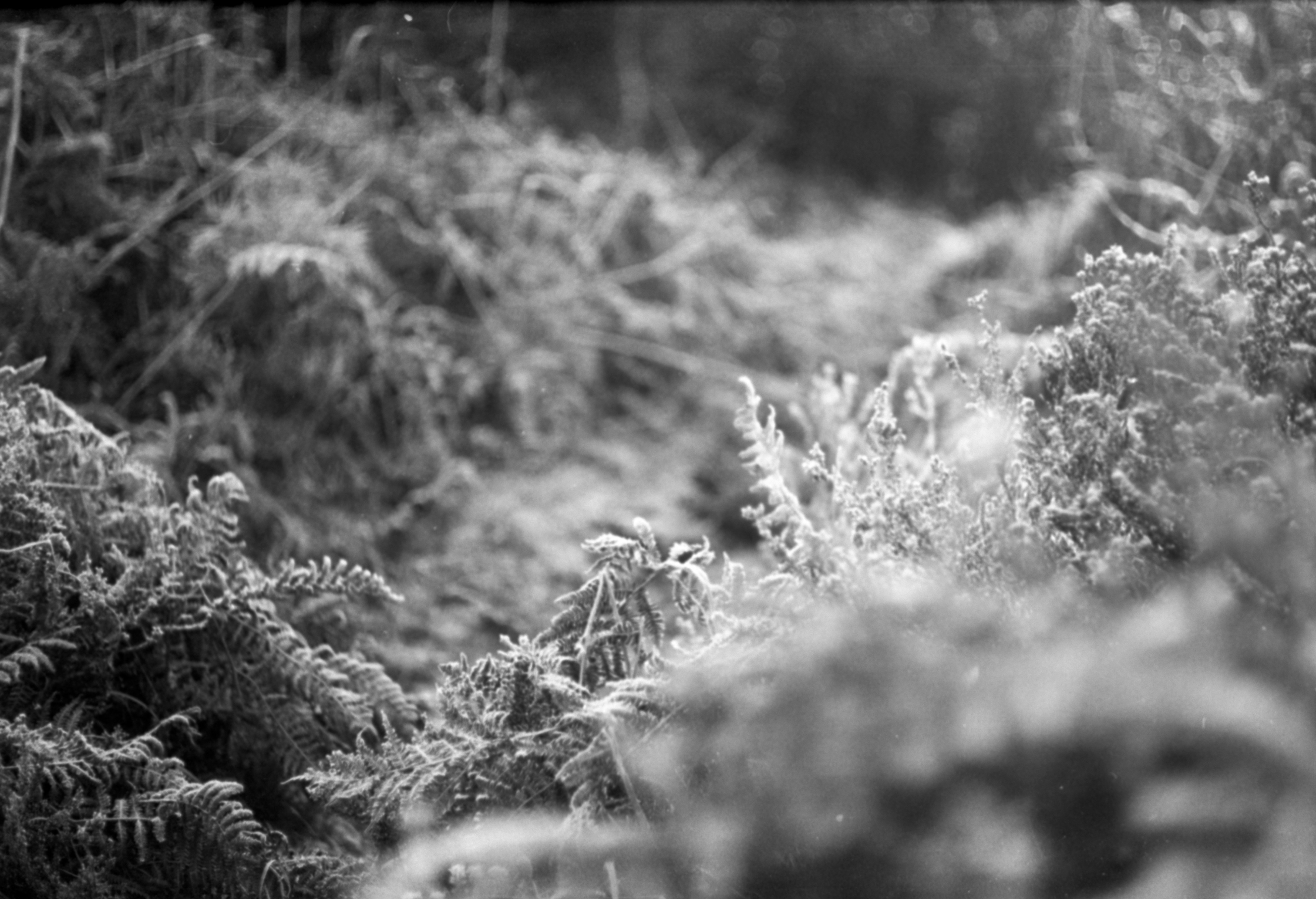 Photo by anniespratt