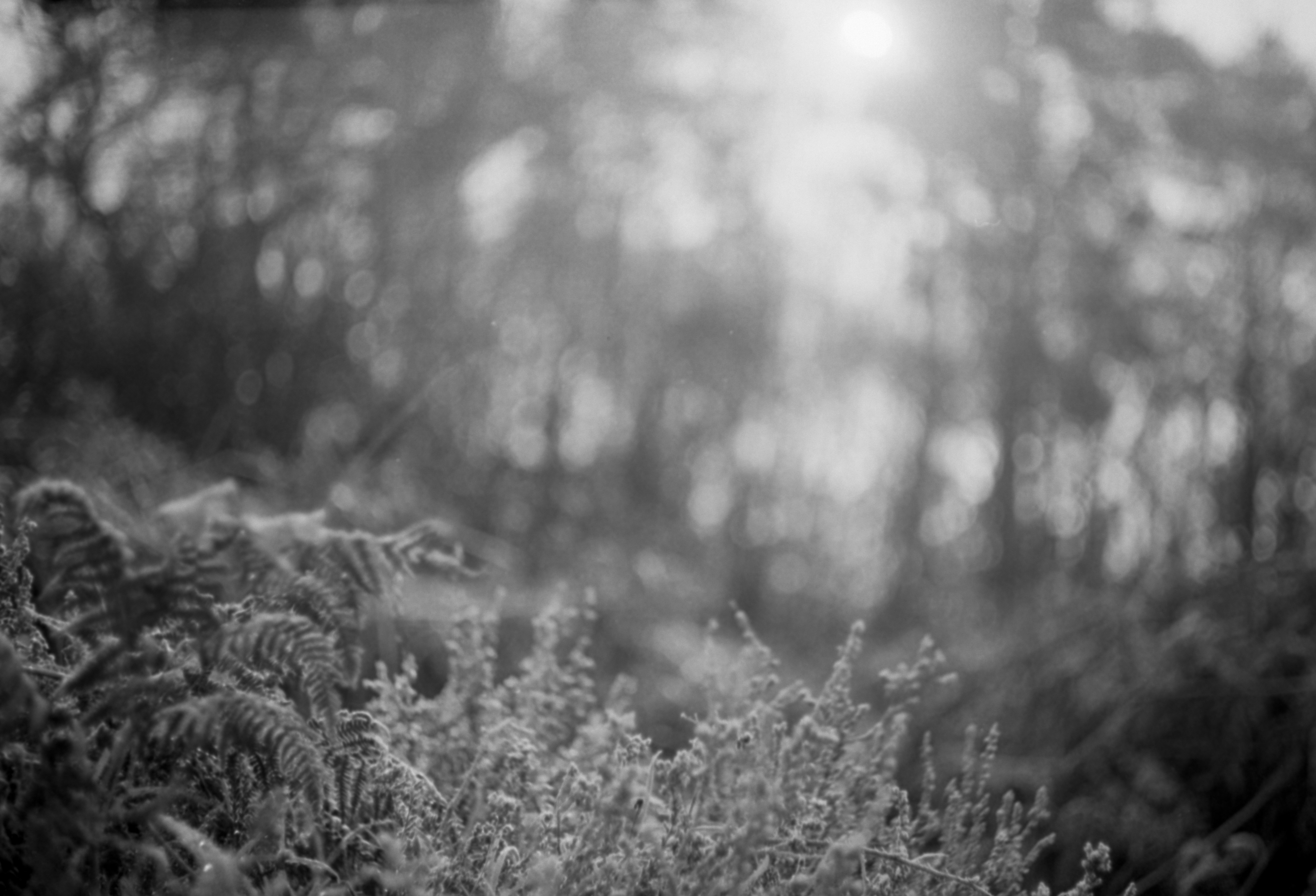 Photo by anniespratt