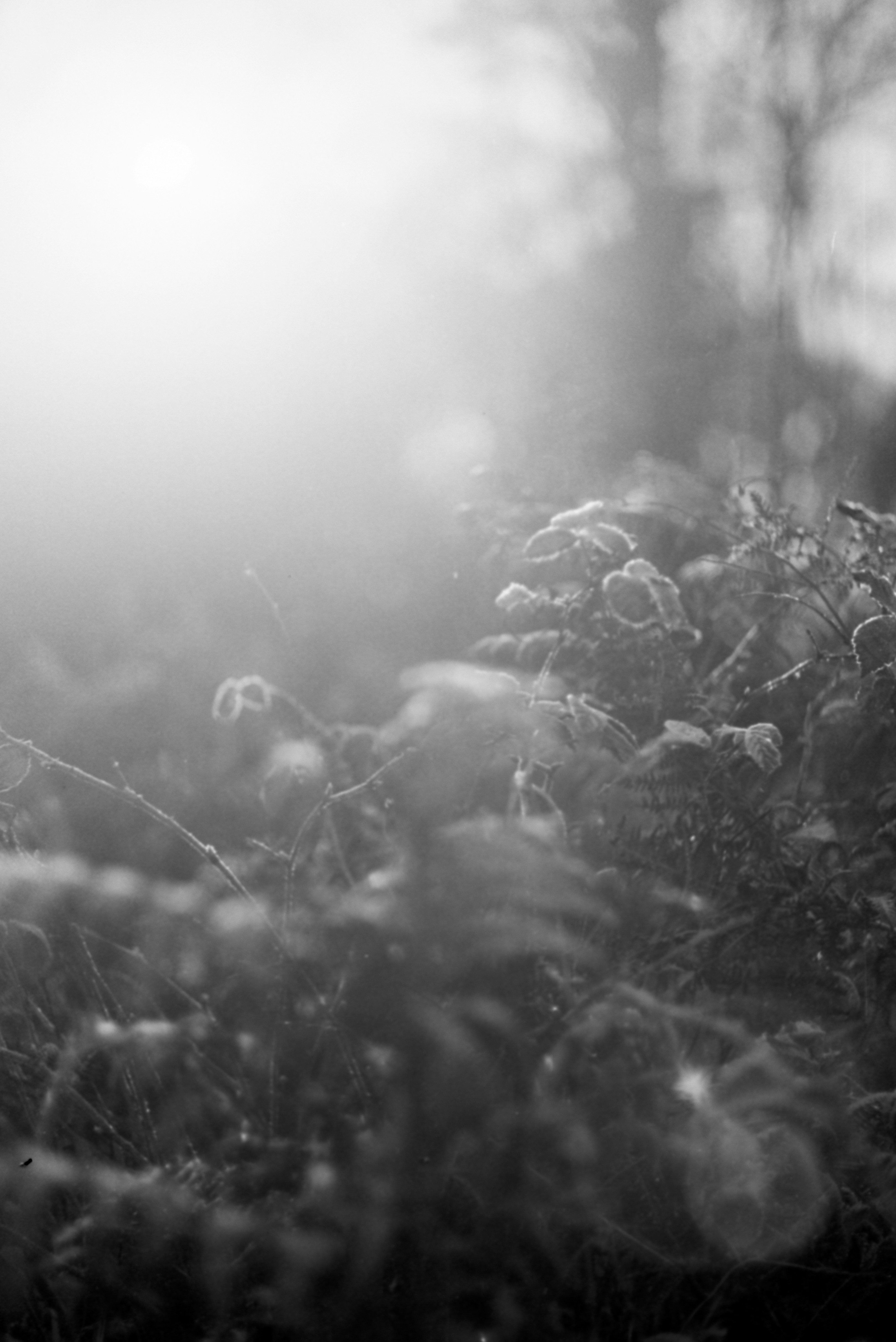 Photo by anniespratt