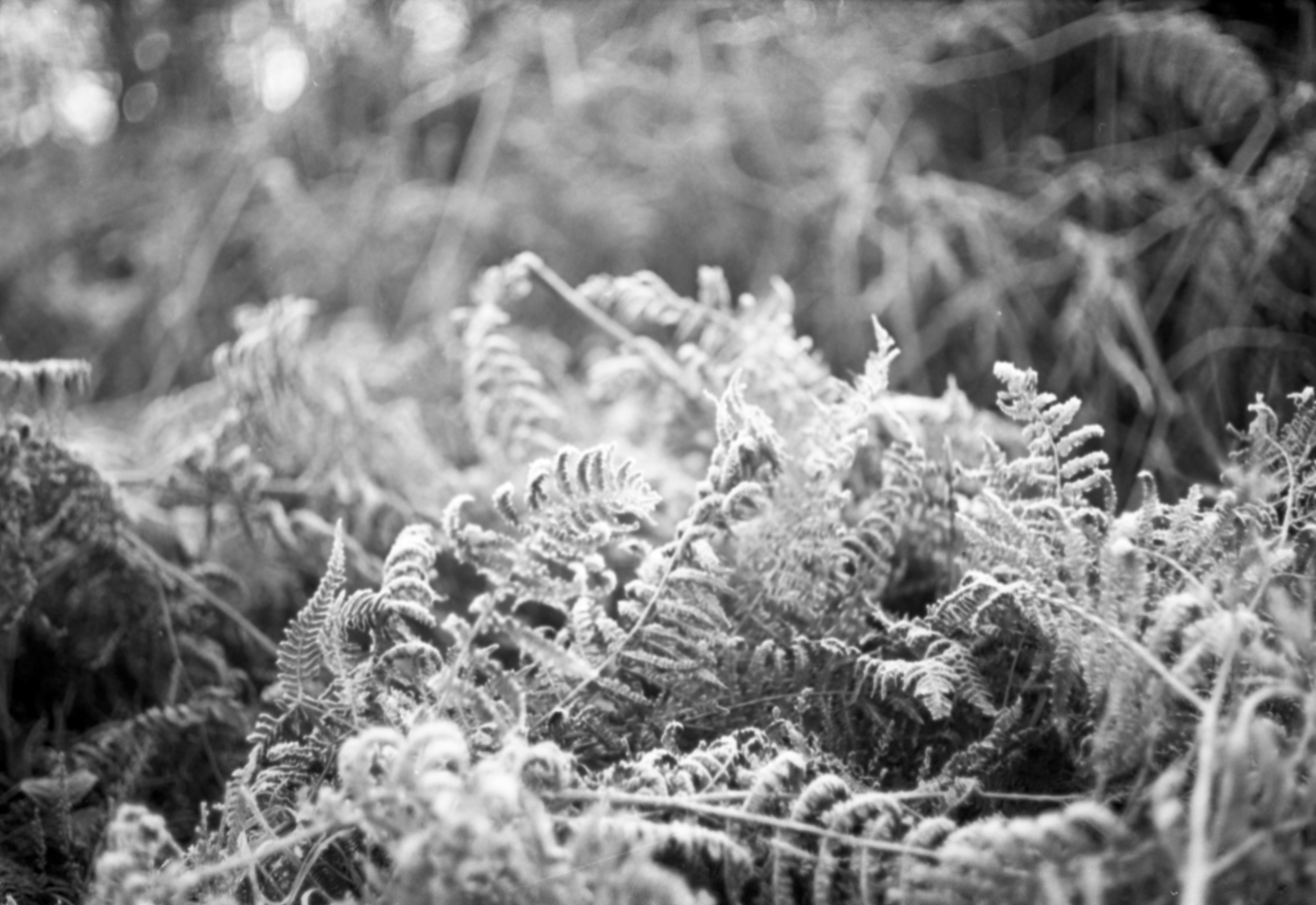 Photo by anniespratt