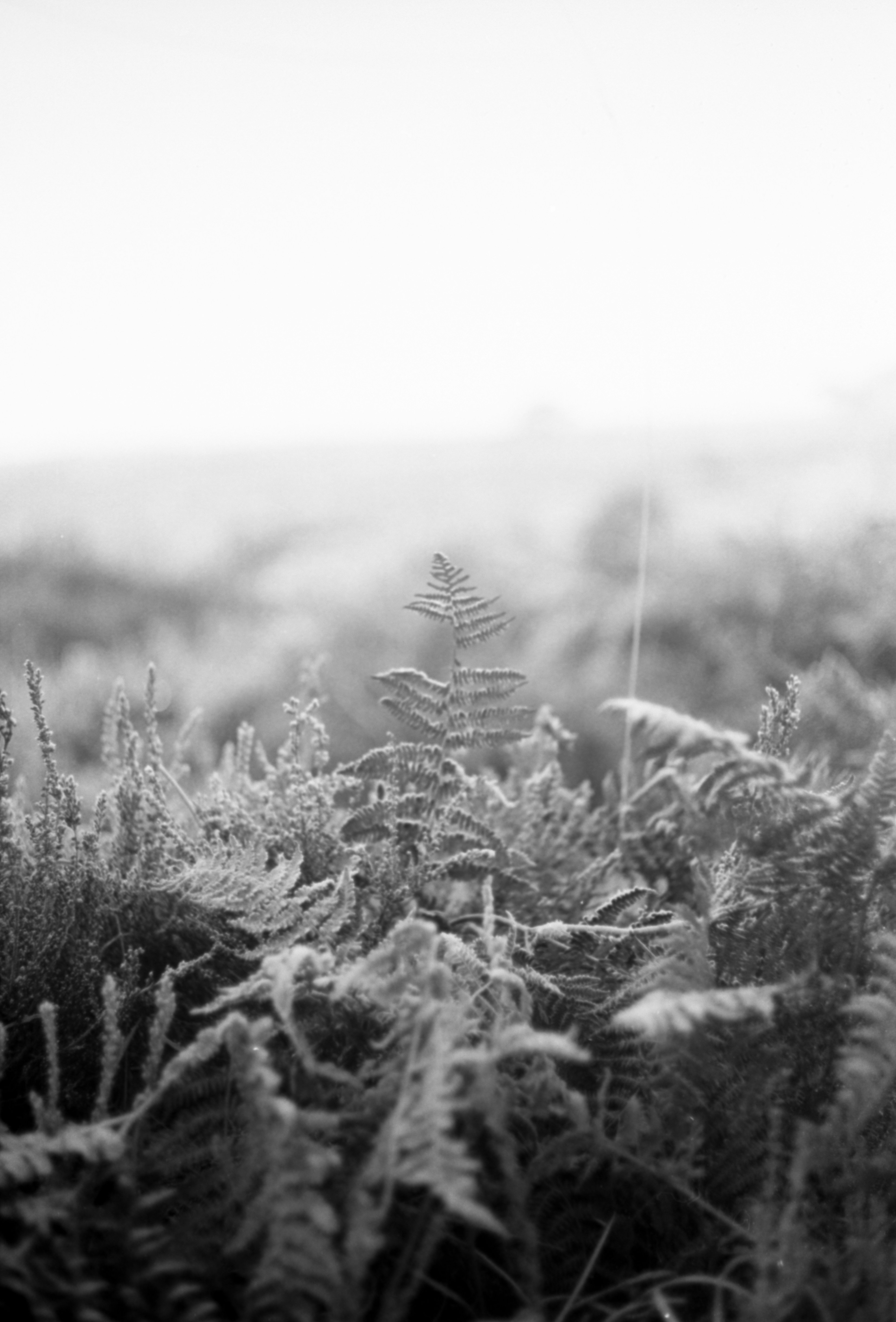 Photo by anniespratt