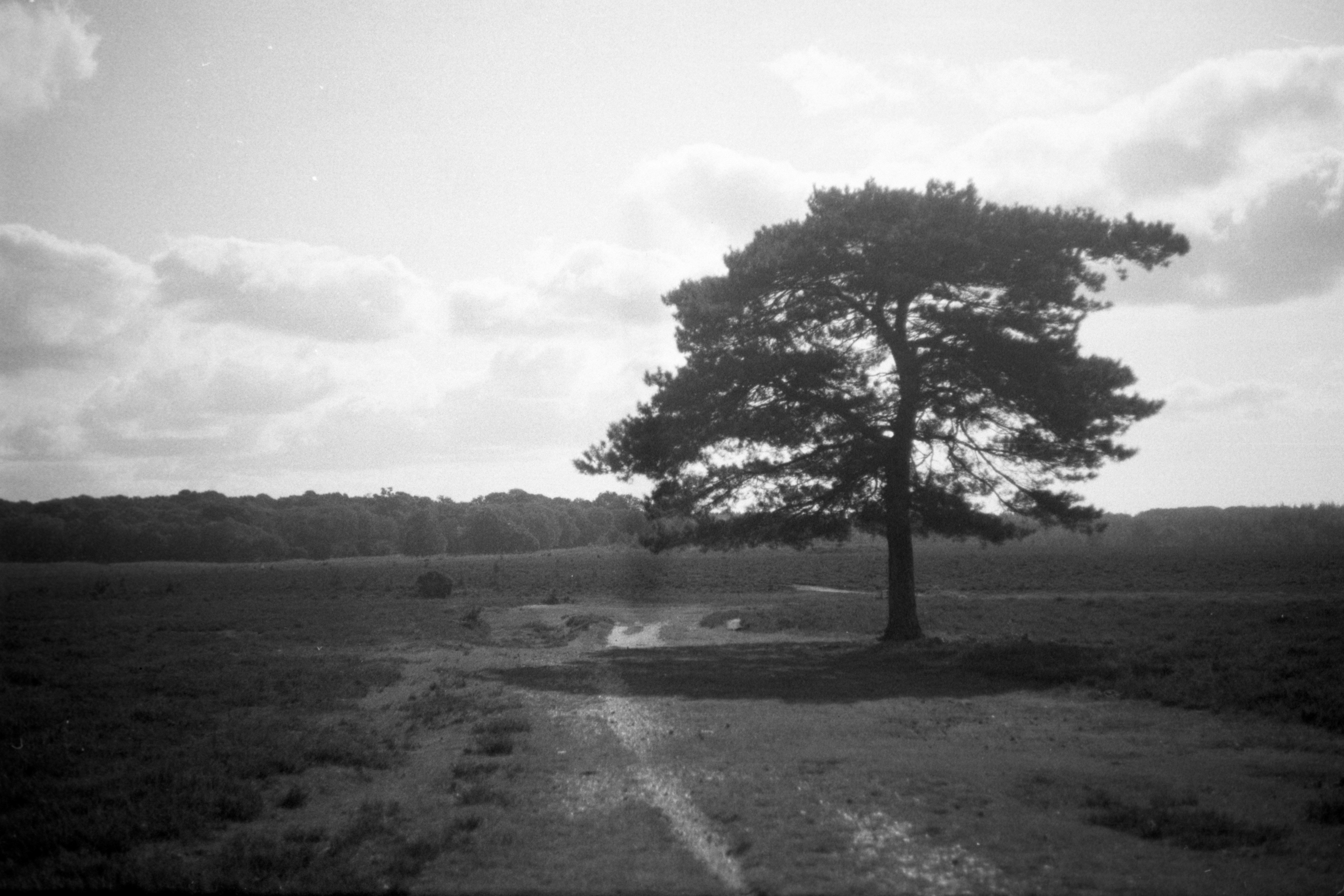 Photo by anniespratt