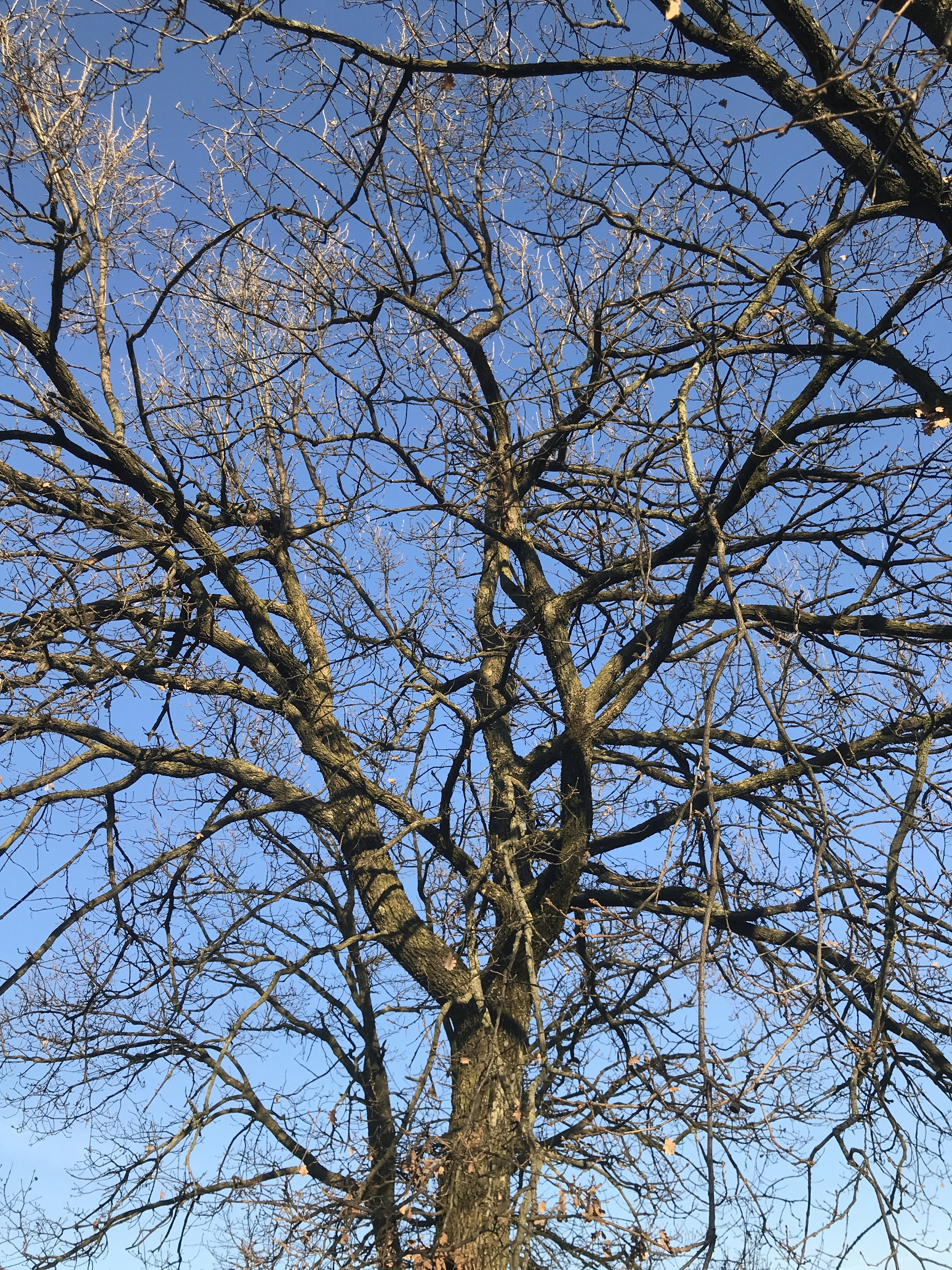 Photo by negolino031