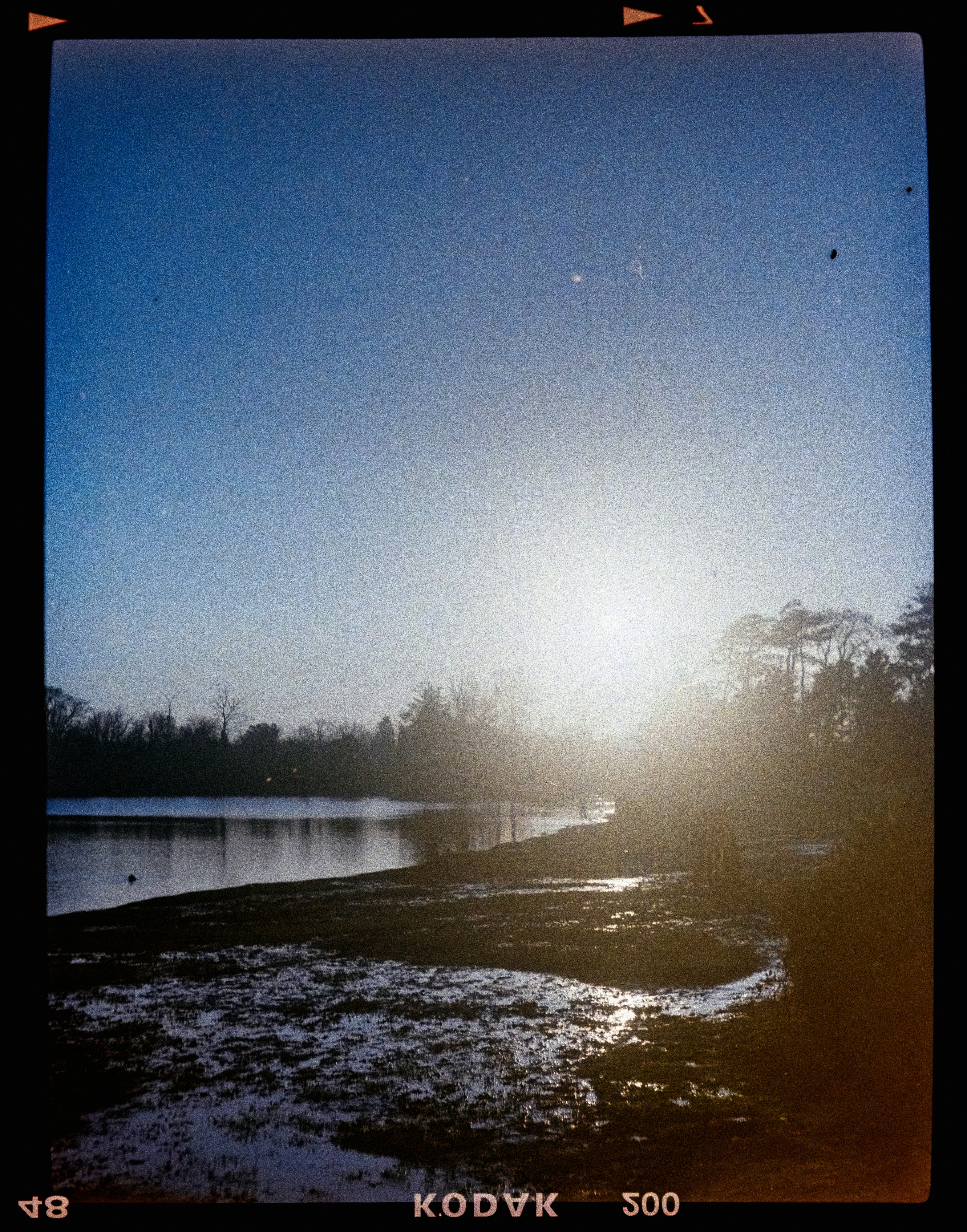 Photo by anniespratt