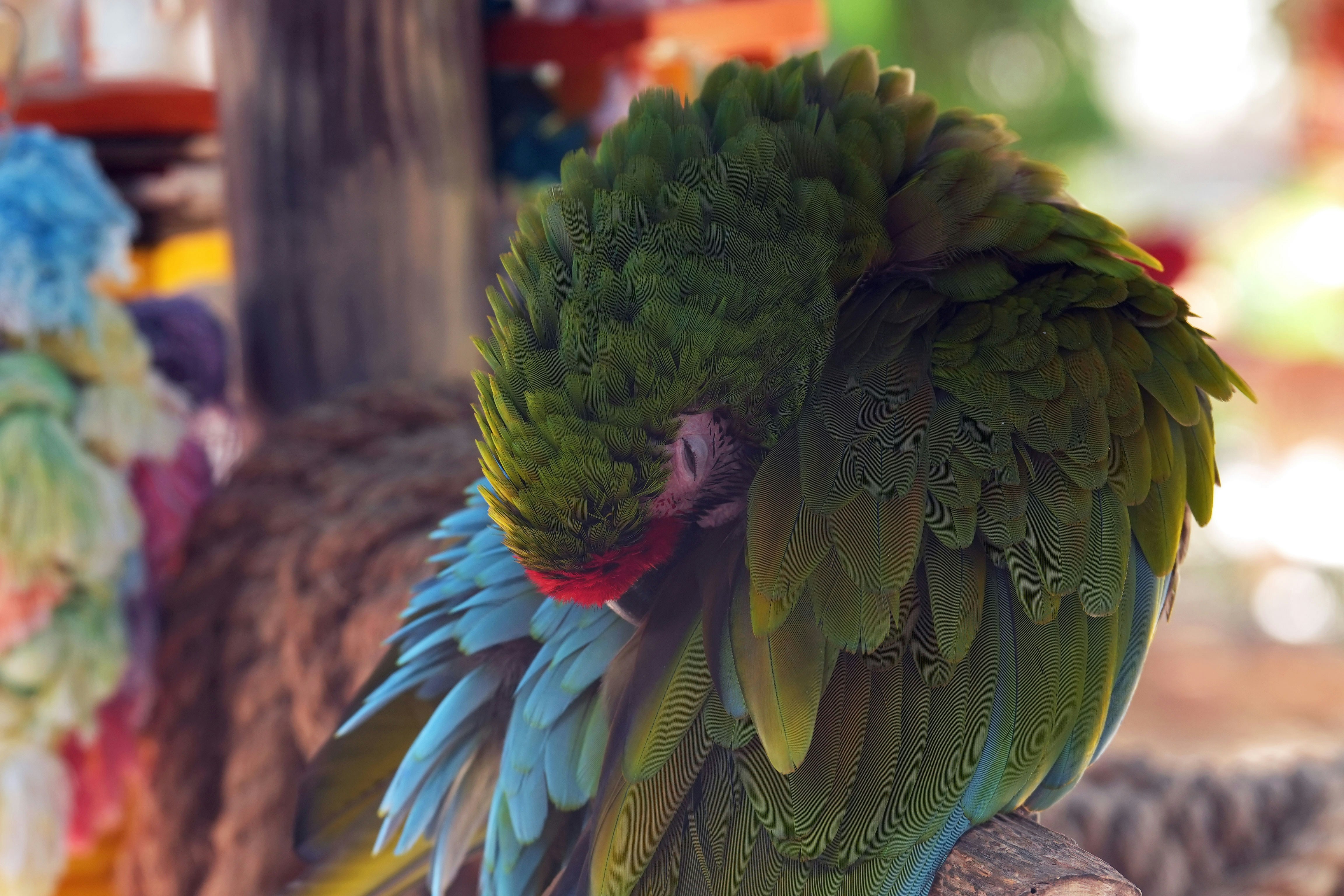 Photo by heatonthetrail