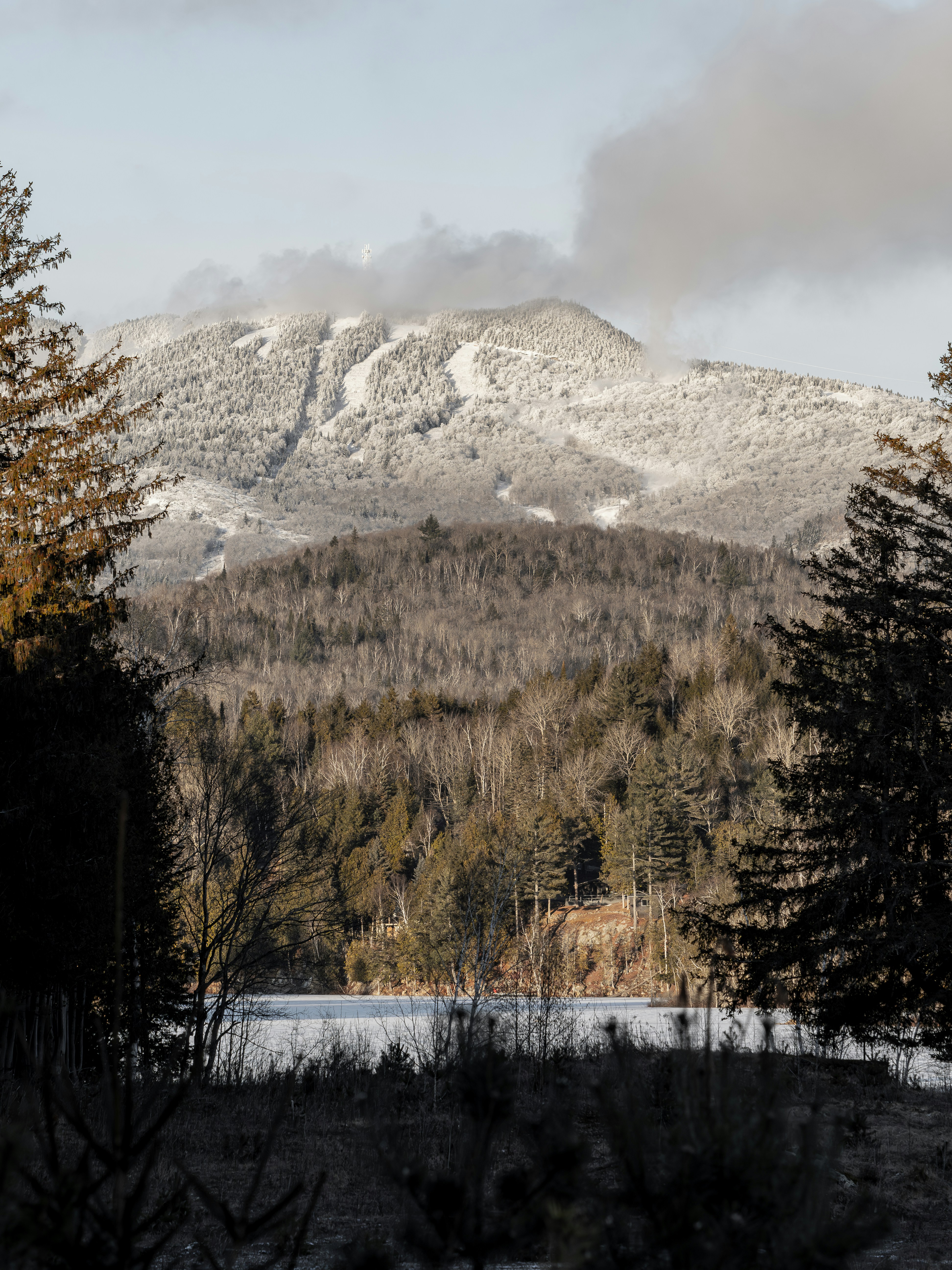 A snow covered mountain with trees in the foreground photo – Free Lac ...