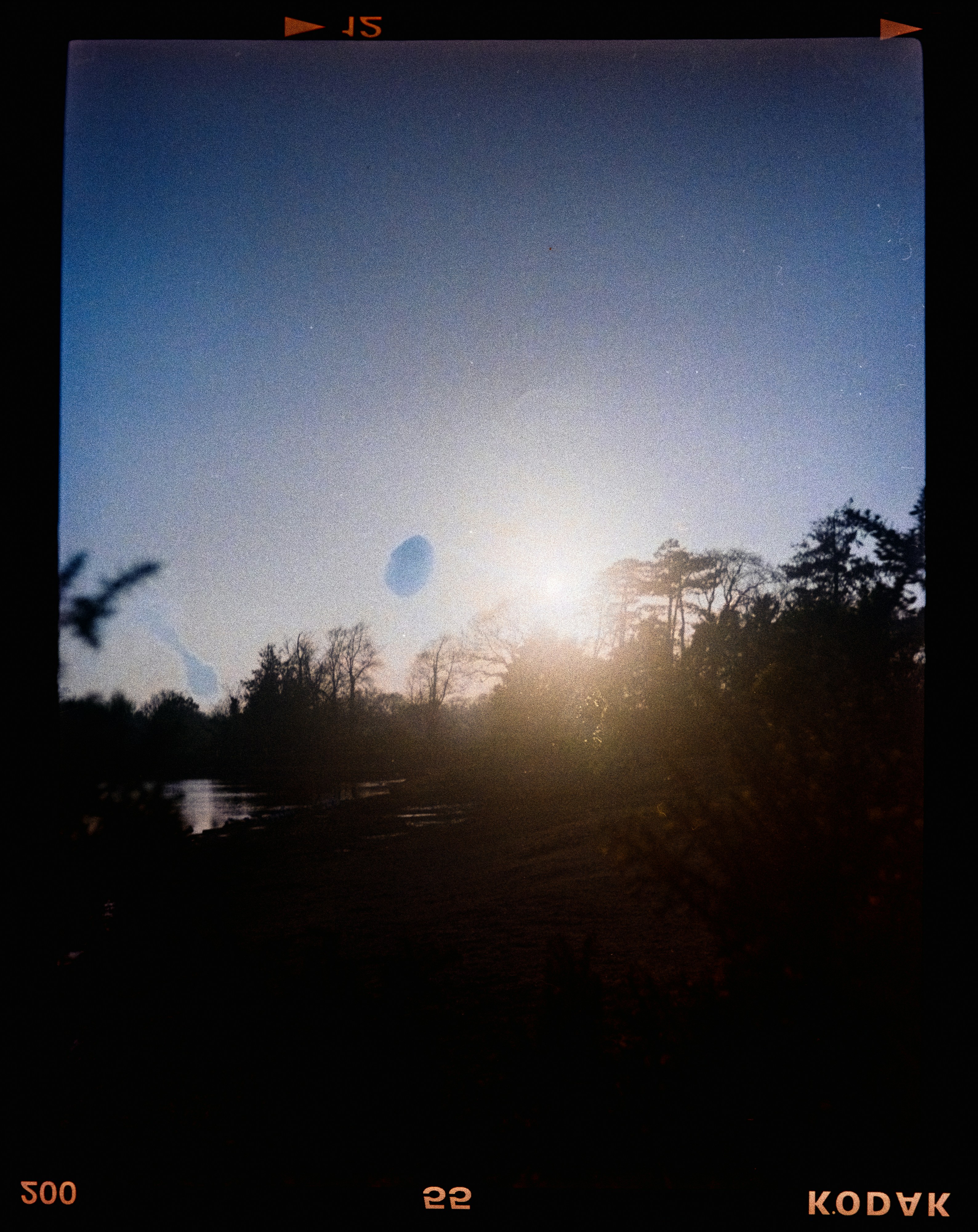 Photo by anniespratt